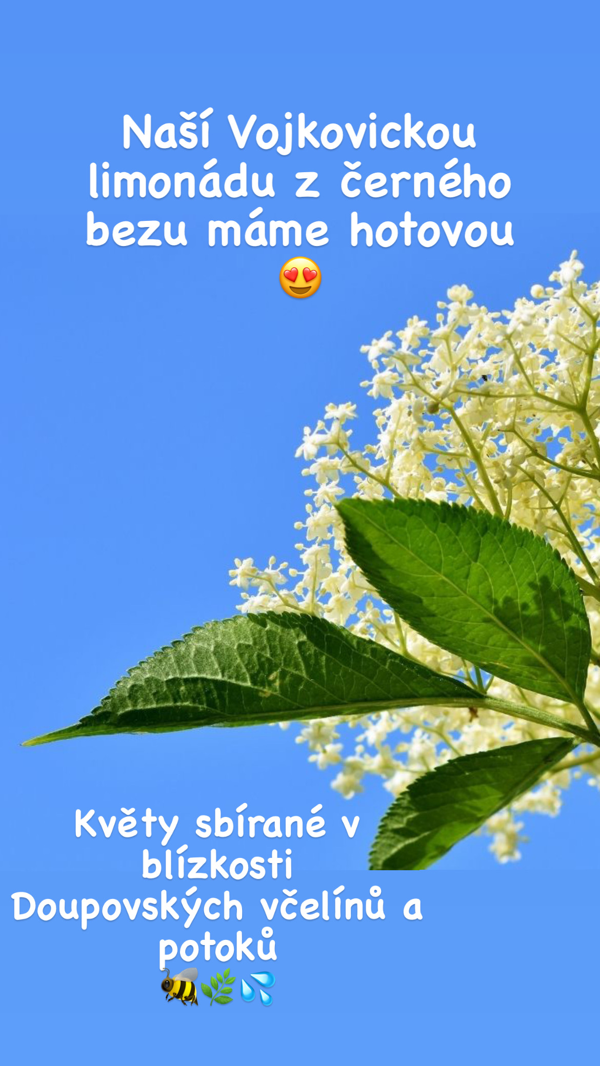U Kamily foto 3