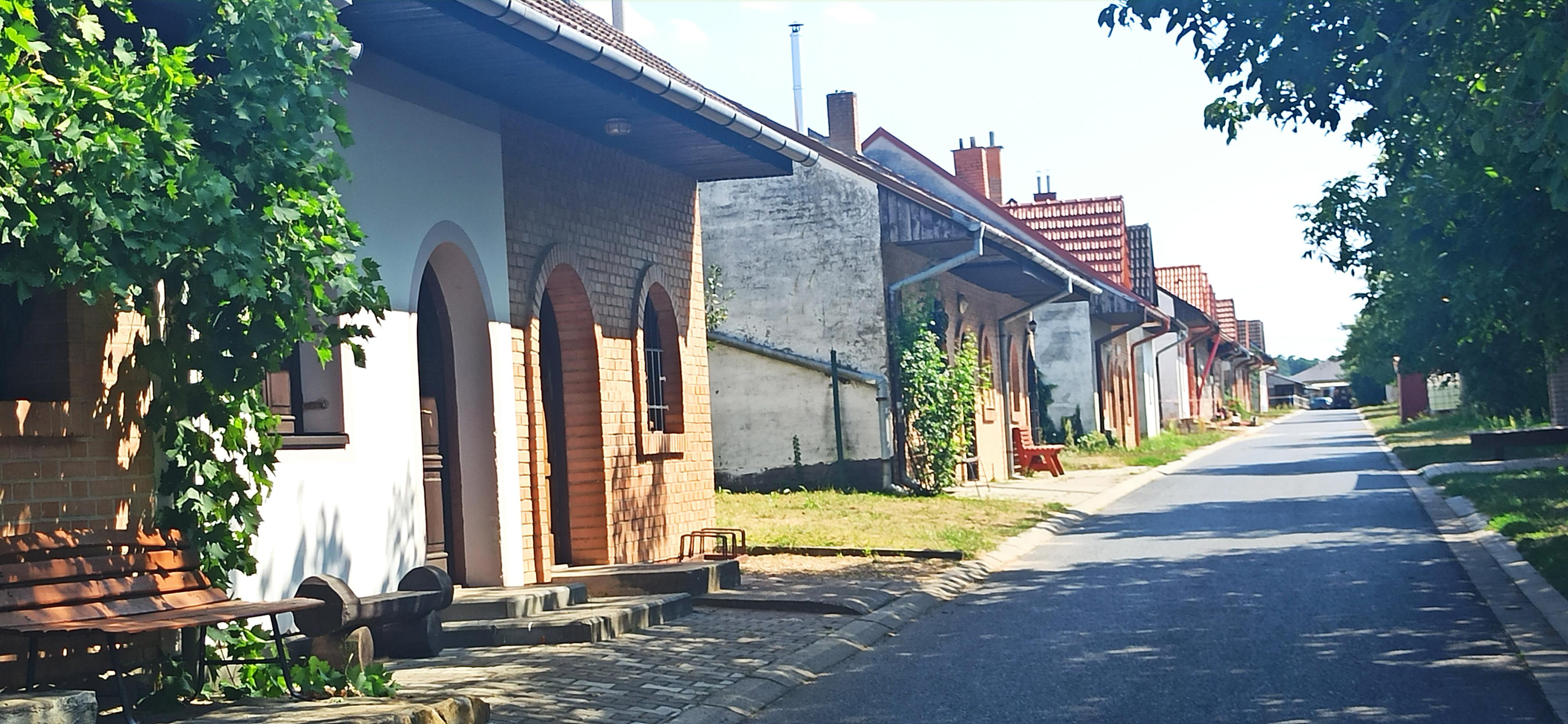 Vinné sklepy Žlébky foto 5