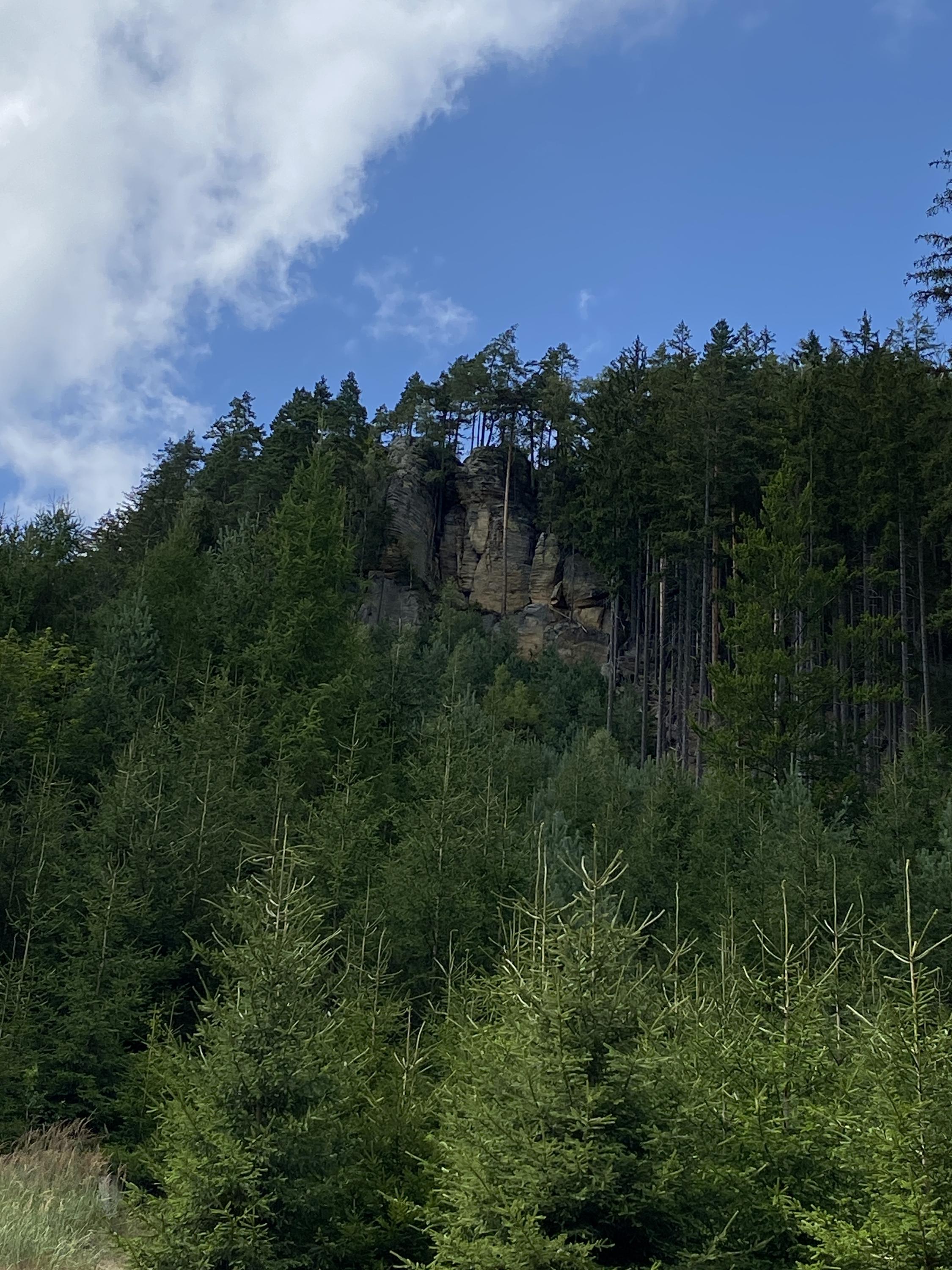 Apartmány Vilka Orlík foto 3