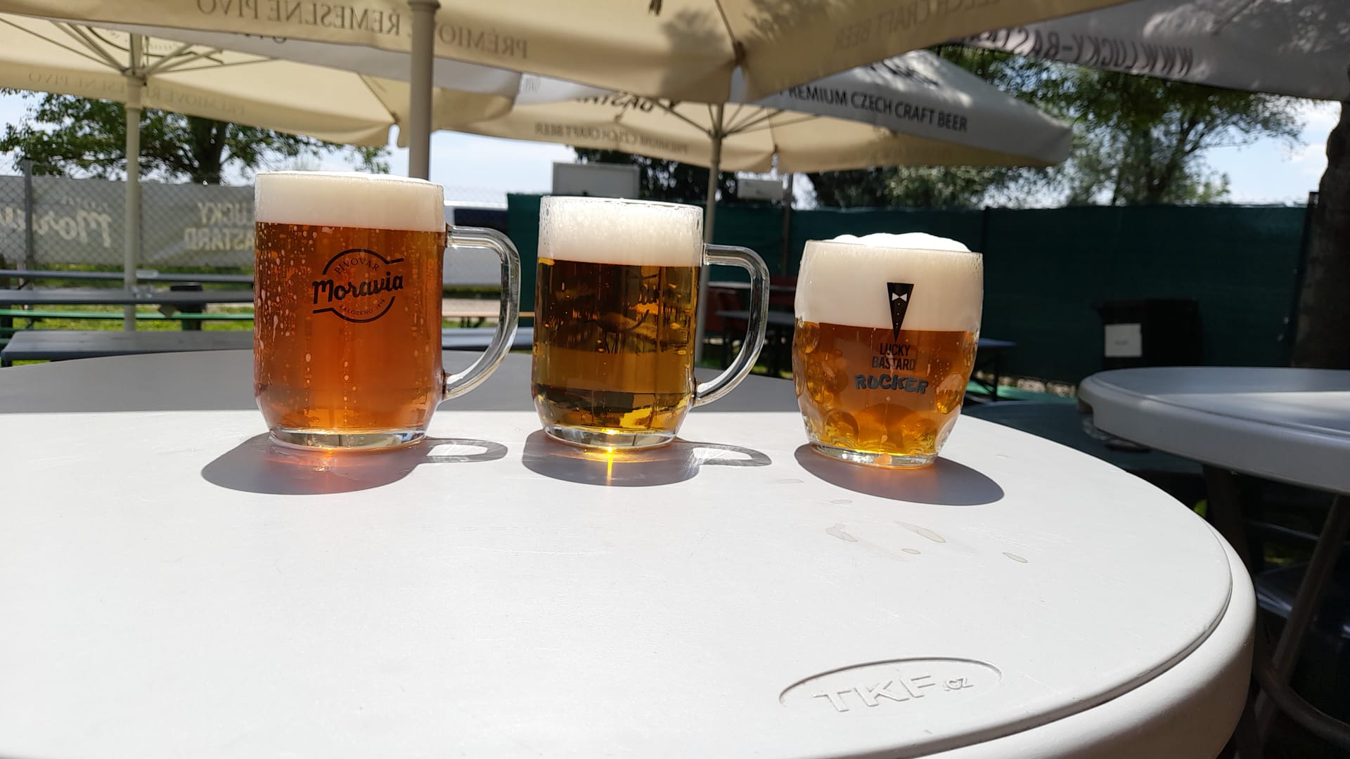 Zahrada Nové Mlýny - Přítluky foto 2