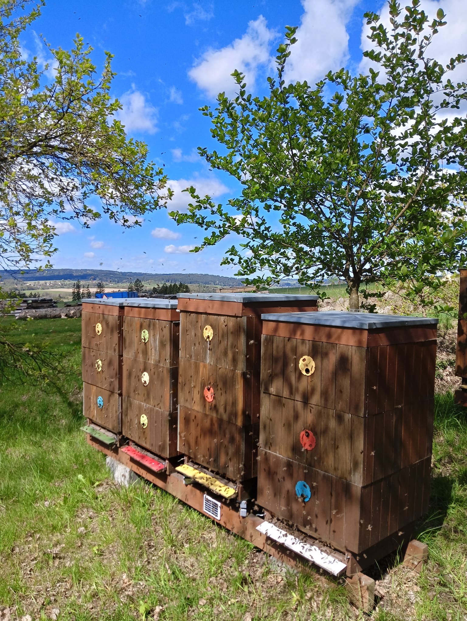 Truhlářství Petr Pavlíček foto 3