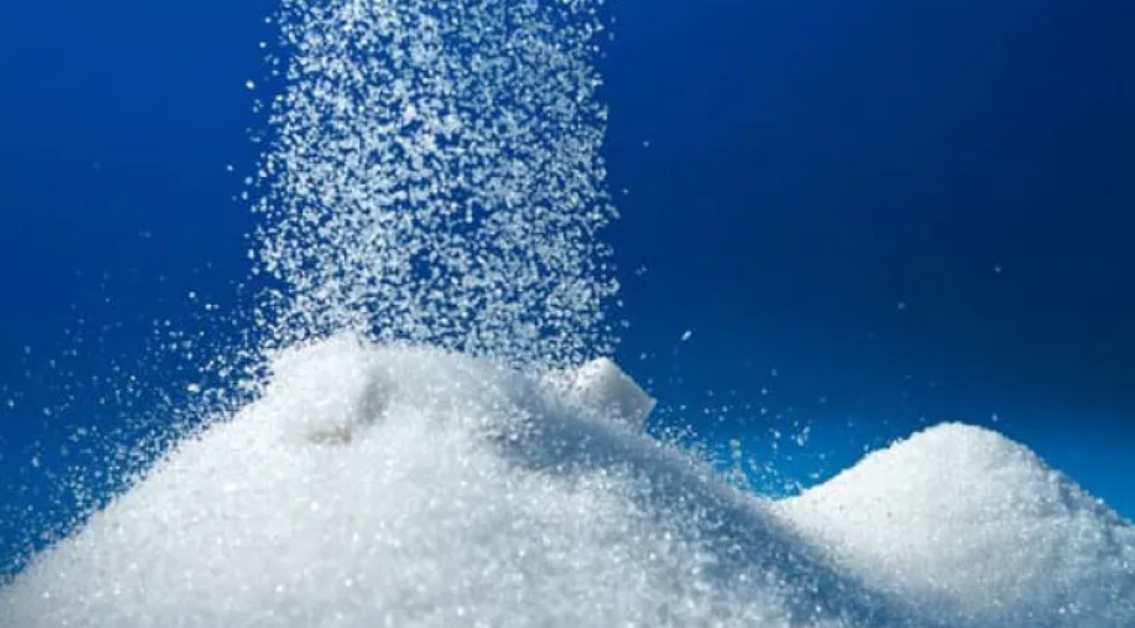 EAST Corporation s.r.o. foto 4