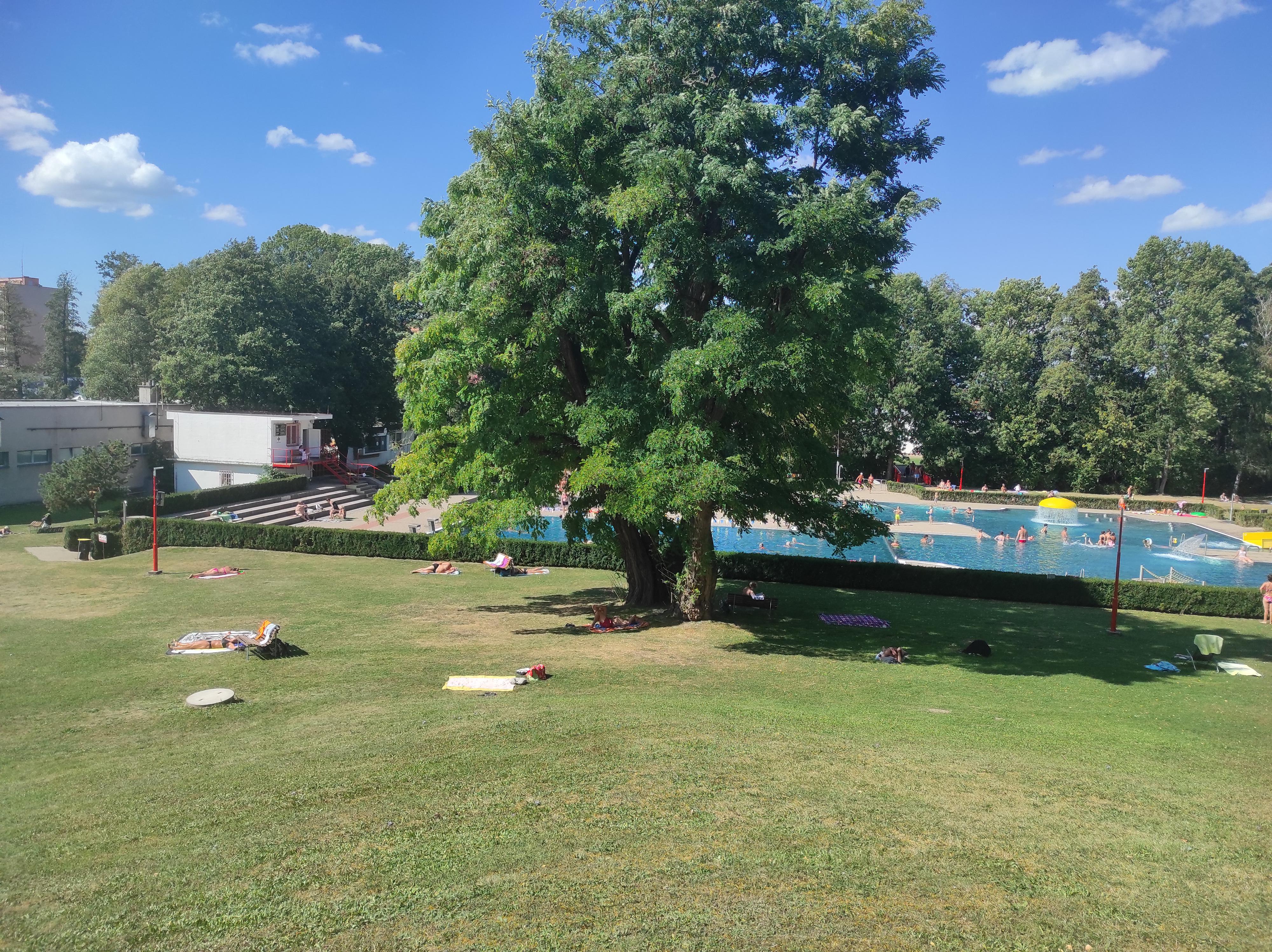 Letní koupaliště Chrudim foto 4