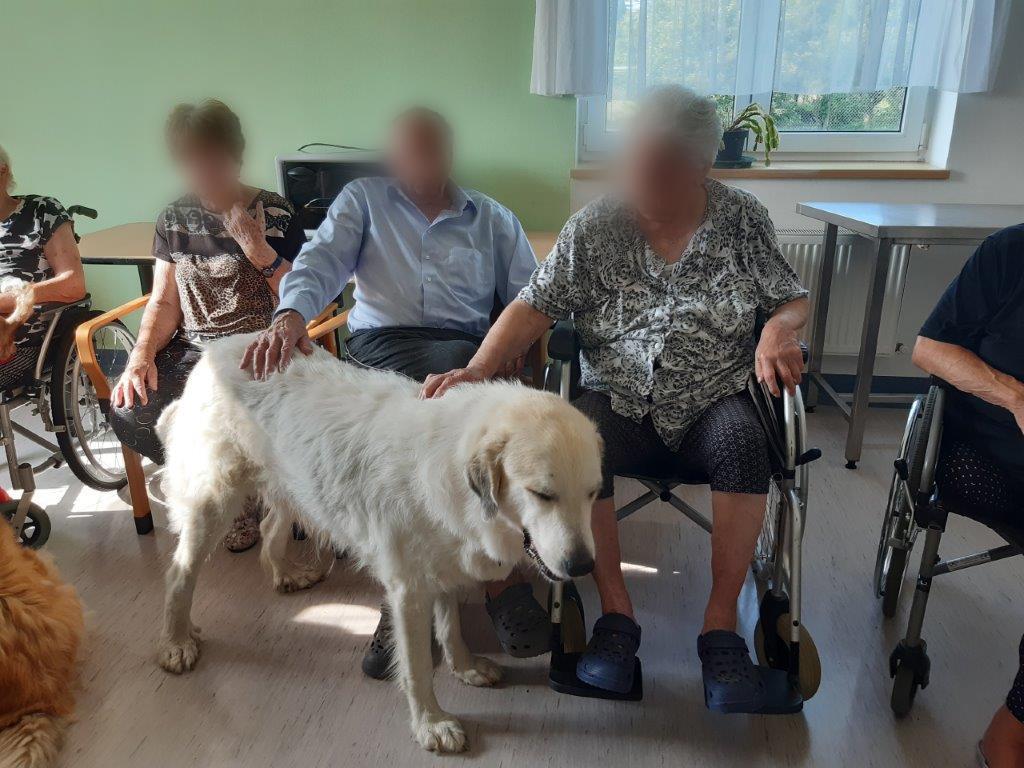 V Zahradách Zdice, poskytovatel sociálních služeb foto 2