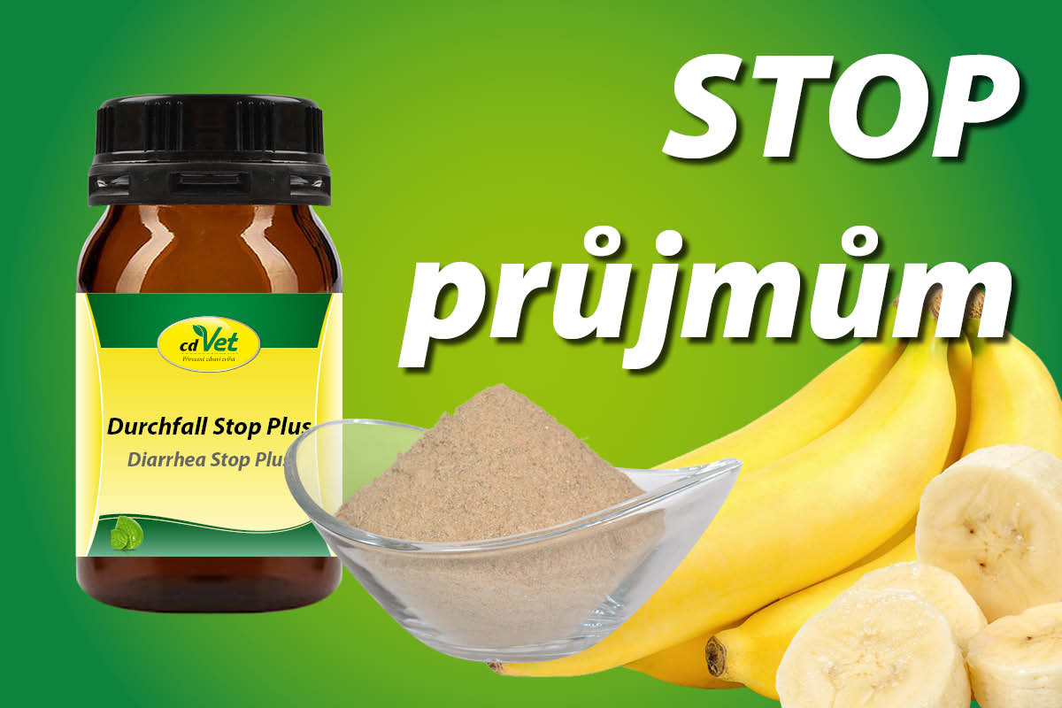 Baron.cz – přírodní lékárna pro psy a kočky foto 4