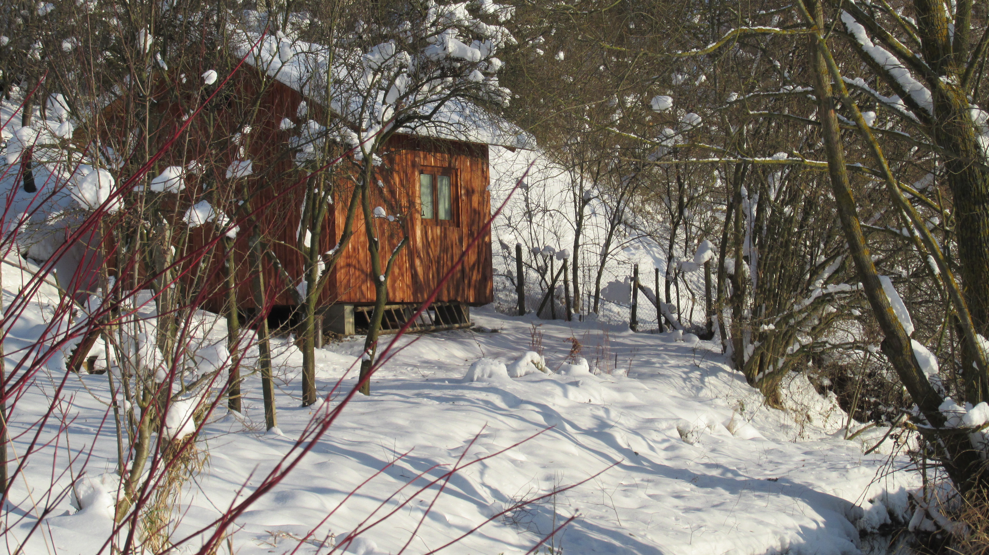 Srdcem se dívej - pobyt ve tmě, terapie tmou foto 3