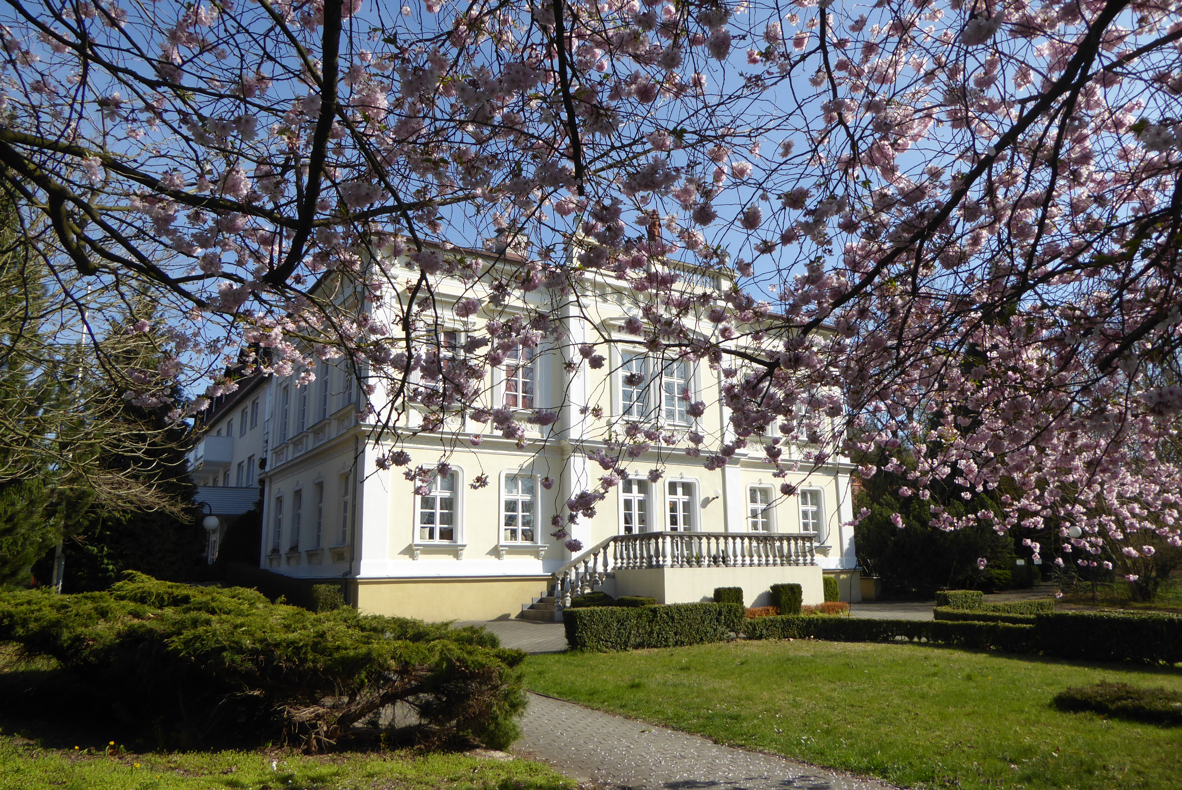 Park Hotel Morris foto 2