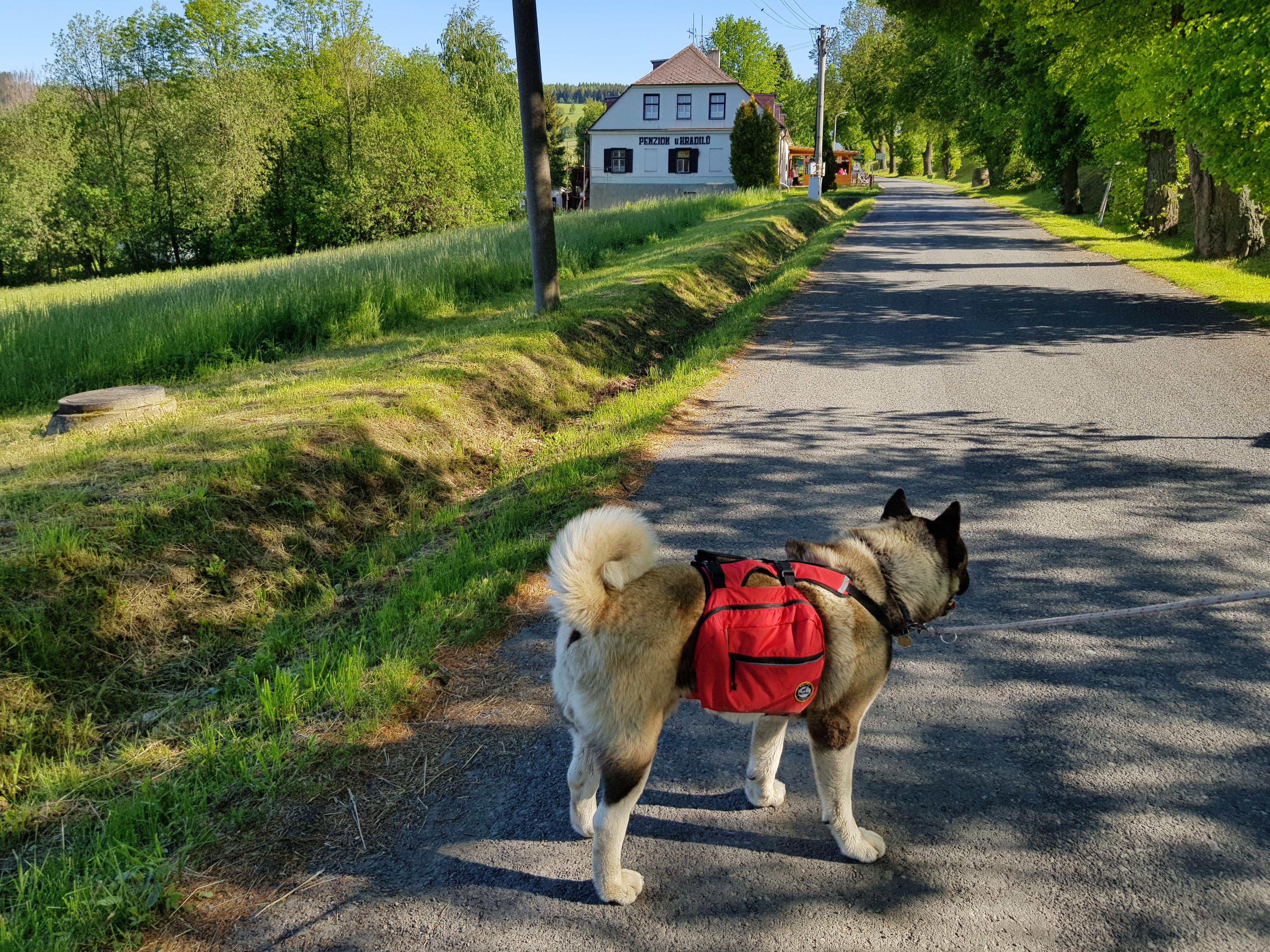 Penzion U Hradilů foto 5