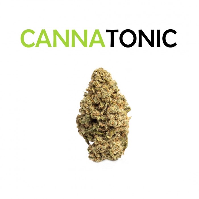 Realitní makléř Filip Hron foto 3