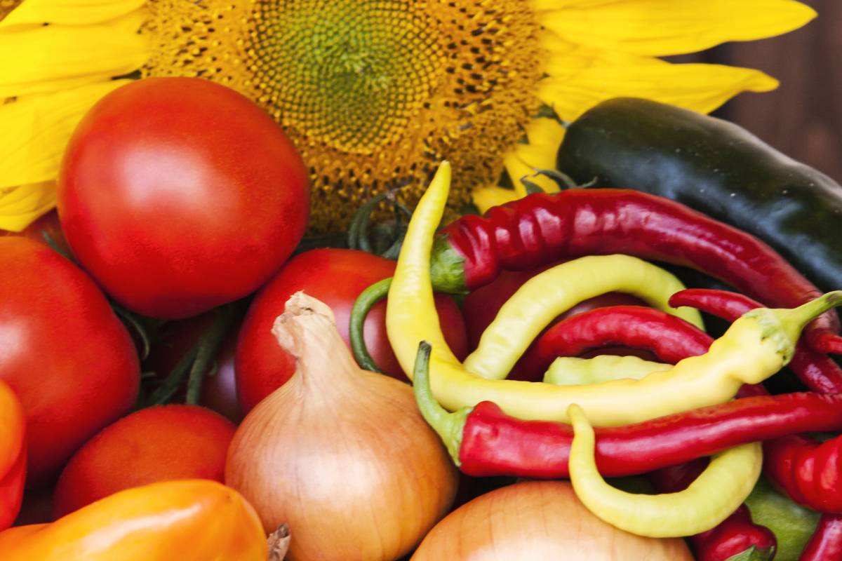 SEVA - FLORA, s.r.o.