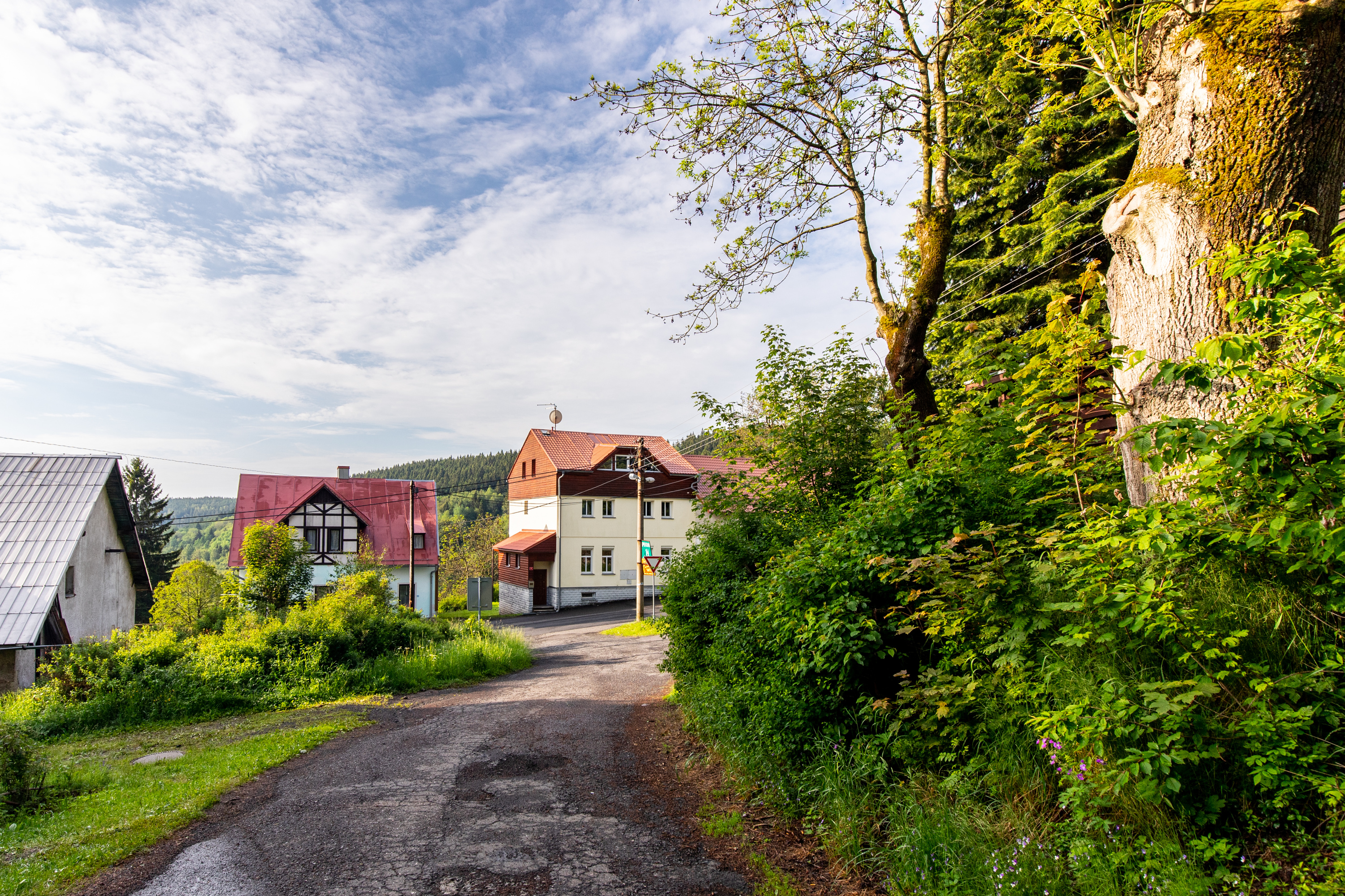 Apartmány nad Šlikovkou foto 4