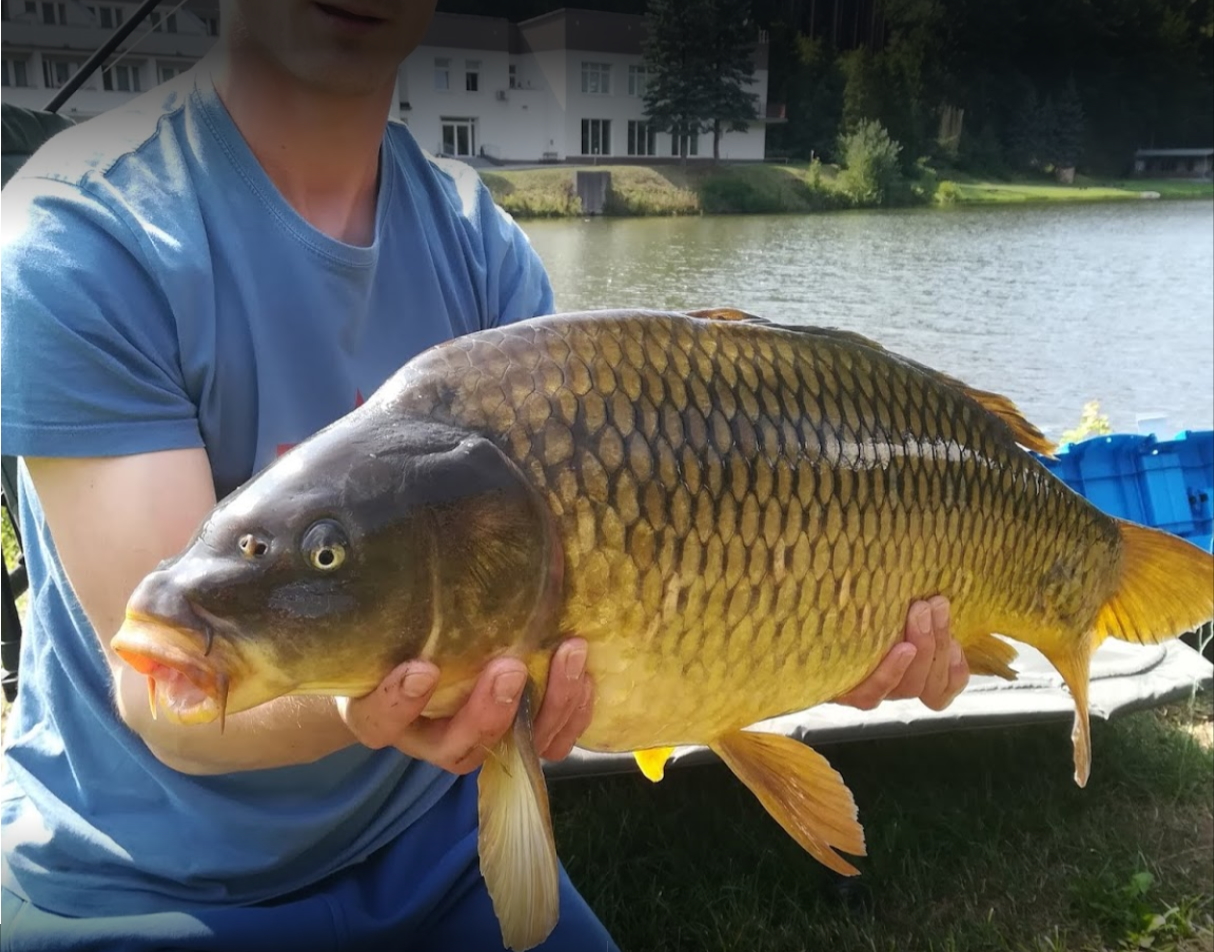 Sportoviště LUNA foto 3