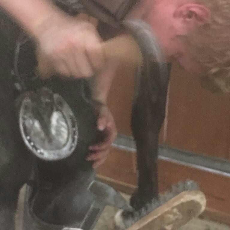 Kovářství a podkovářství Bc. Petr Adamec foto 2