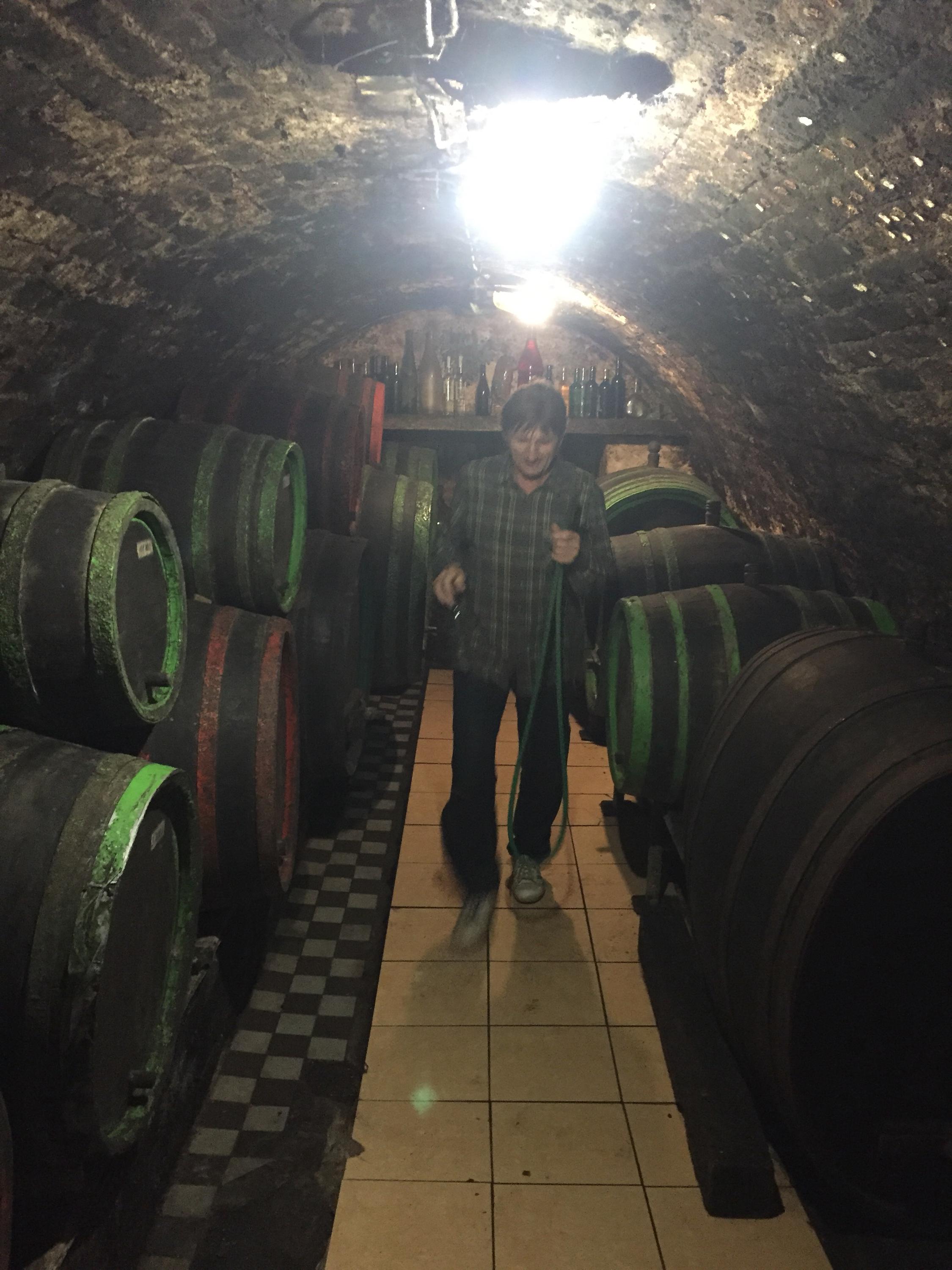 Libor Famfrla- vinař foto 5