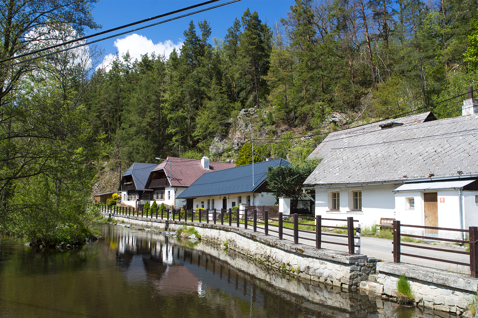 Šumavský Pstruh - Pstruhařství Mlýny s.r.o.