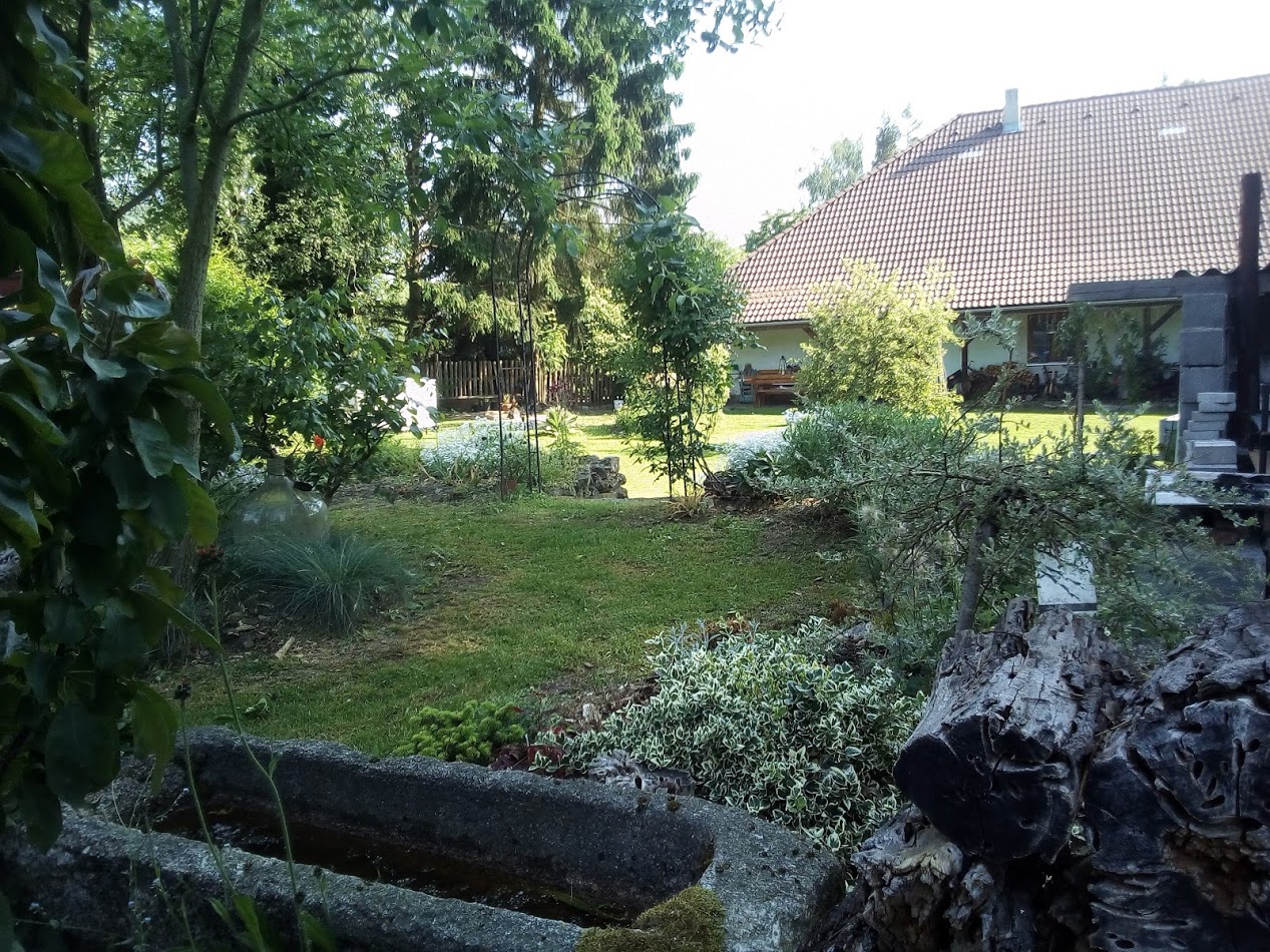 Statek u dvou dubů foto 2