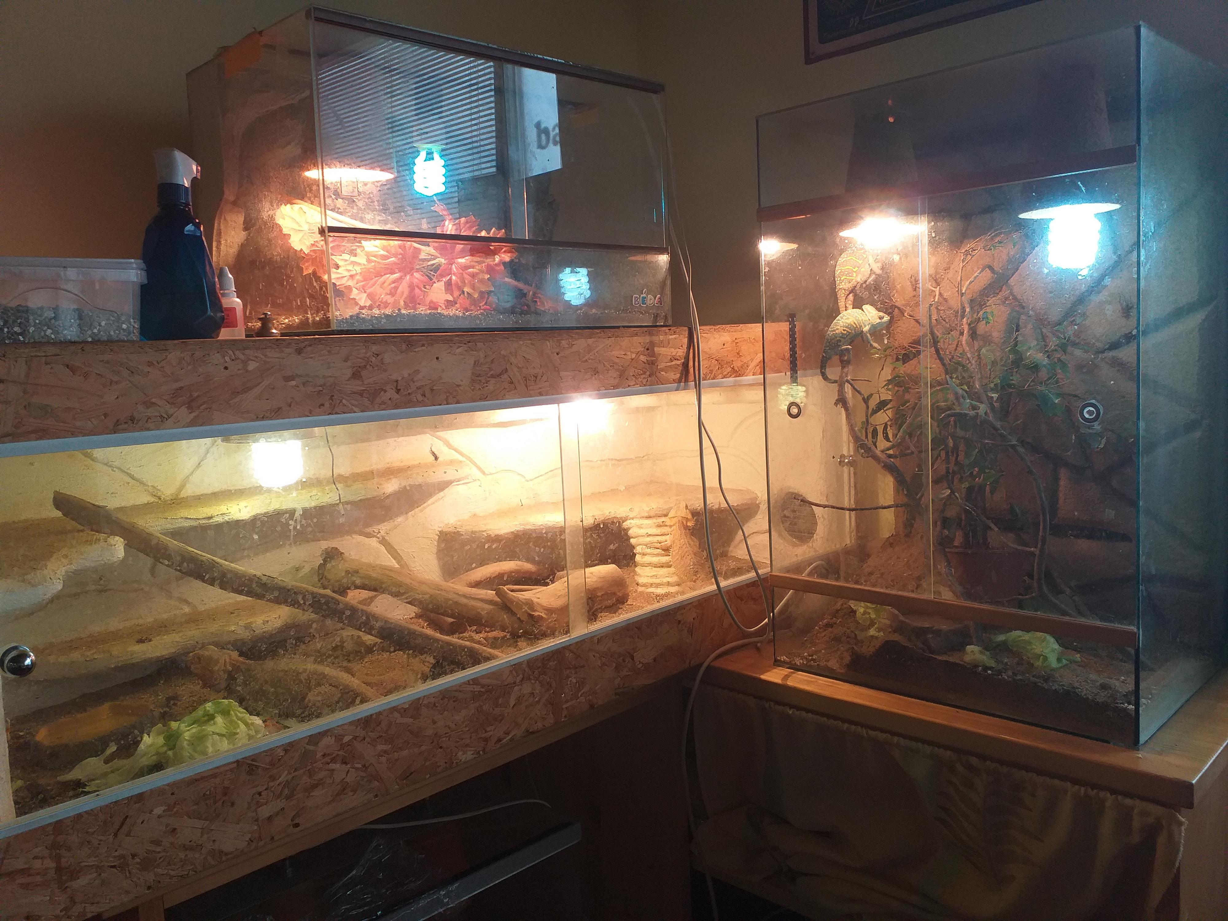 Bufet Studená foto 6