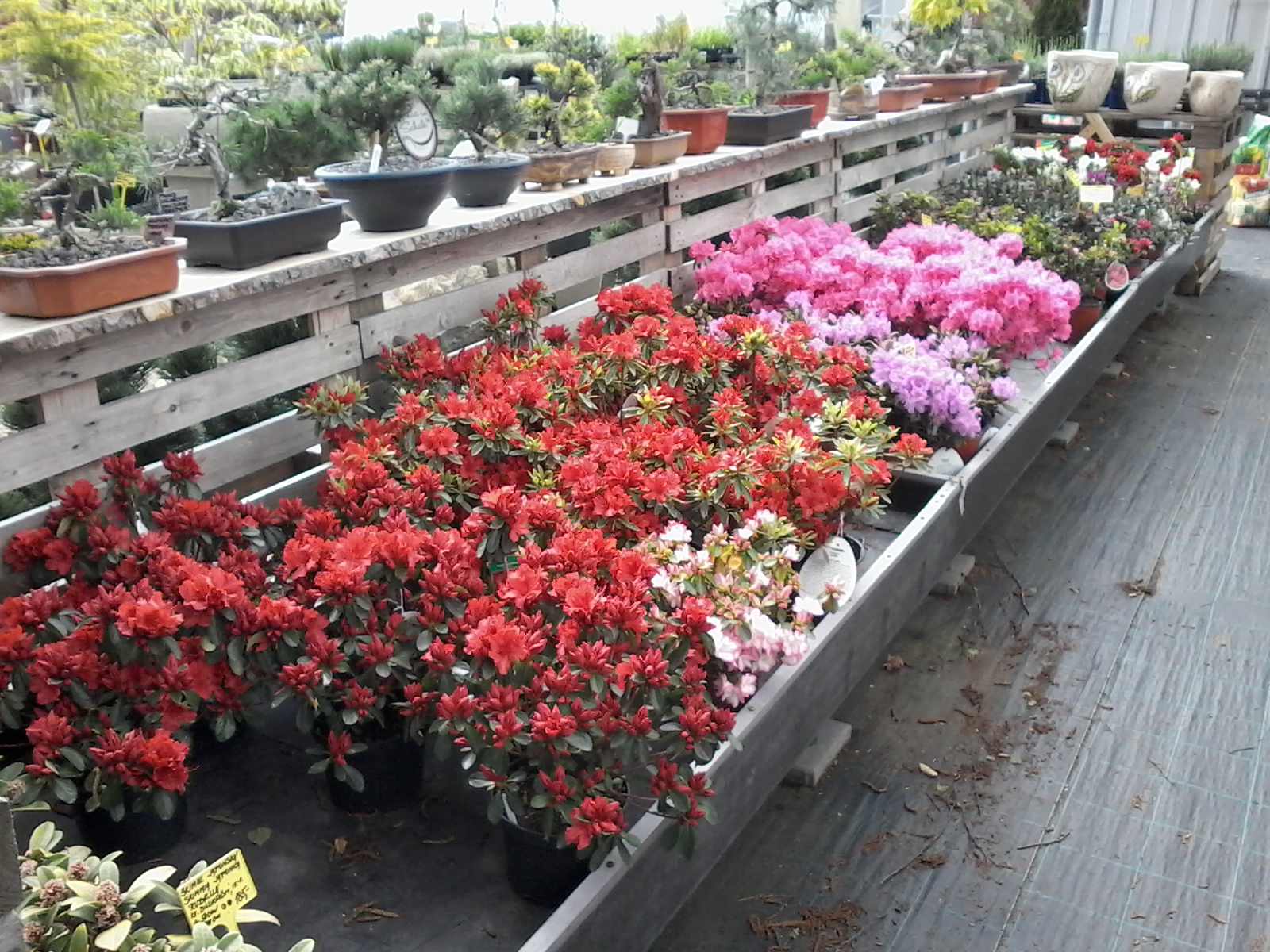 Zahradnictví u rozchodníka, spol. s r.o. foto 3