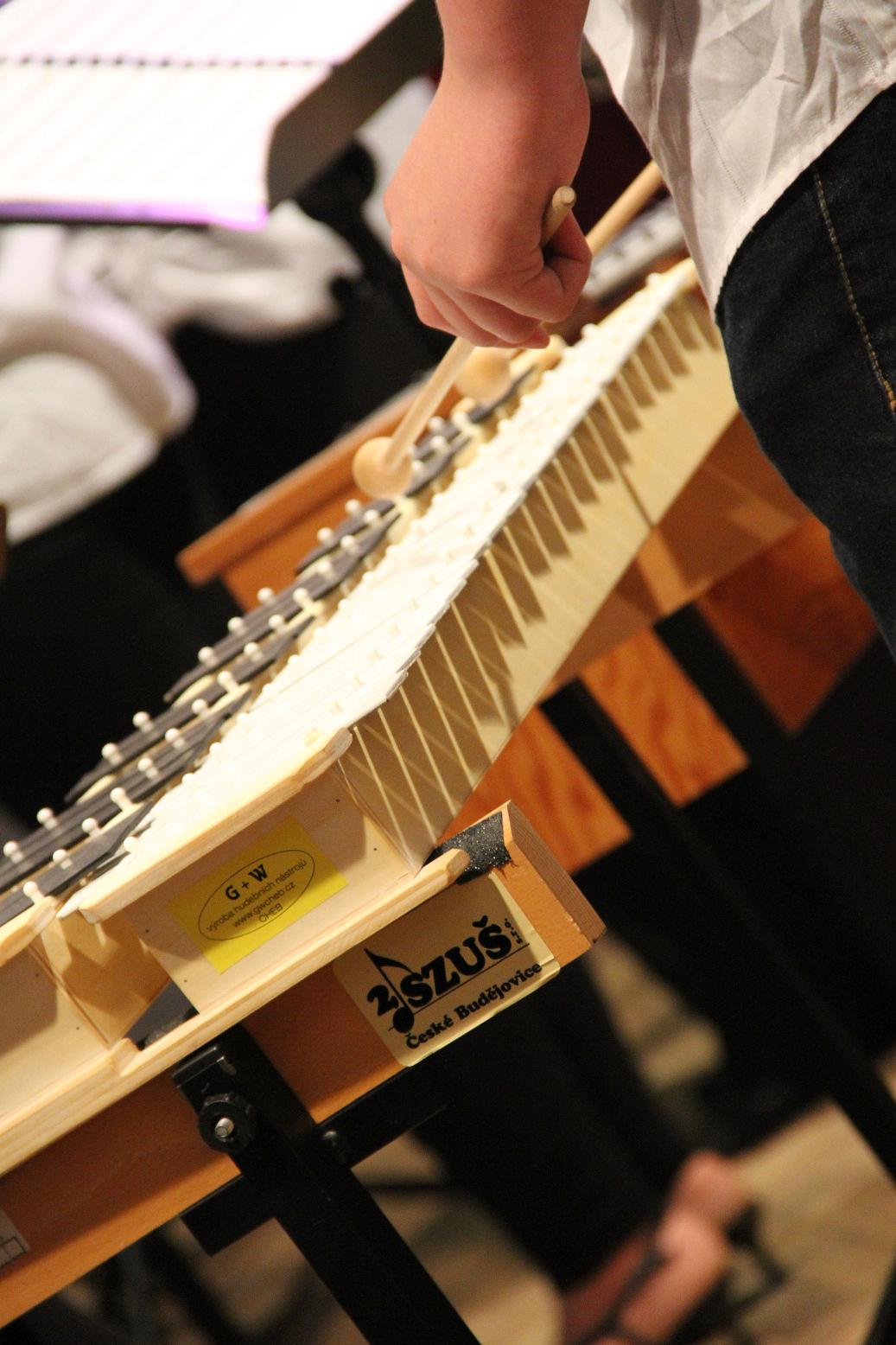 Druhá soukromá základní umělecká škola, s.r.o. foto 3