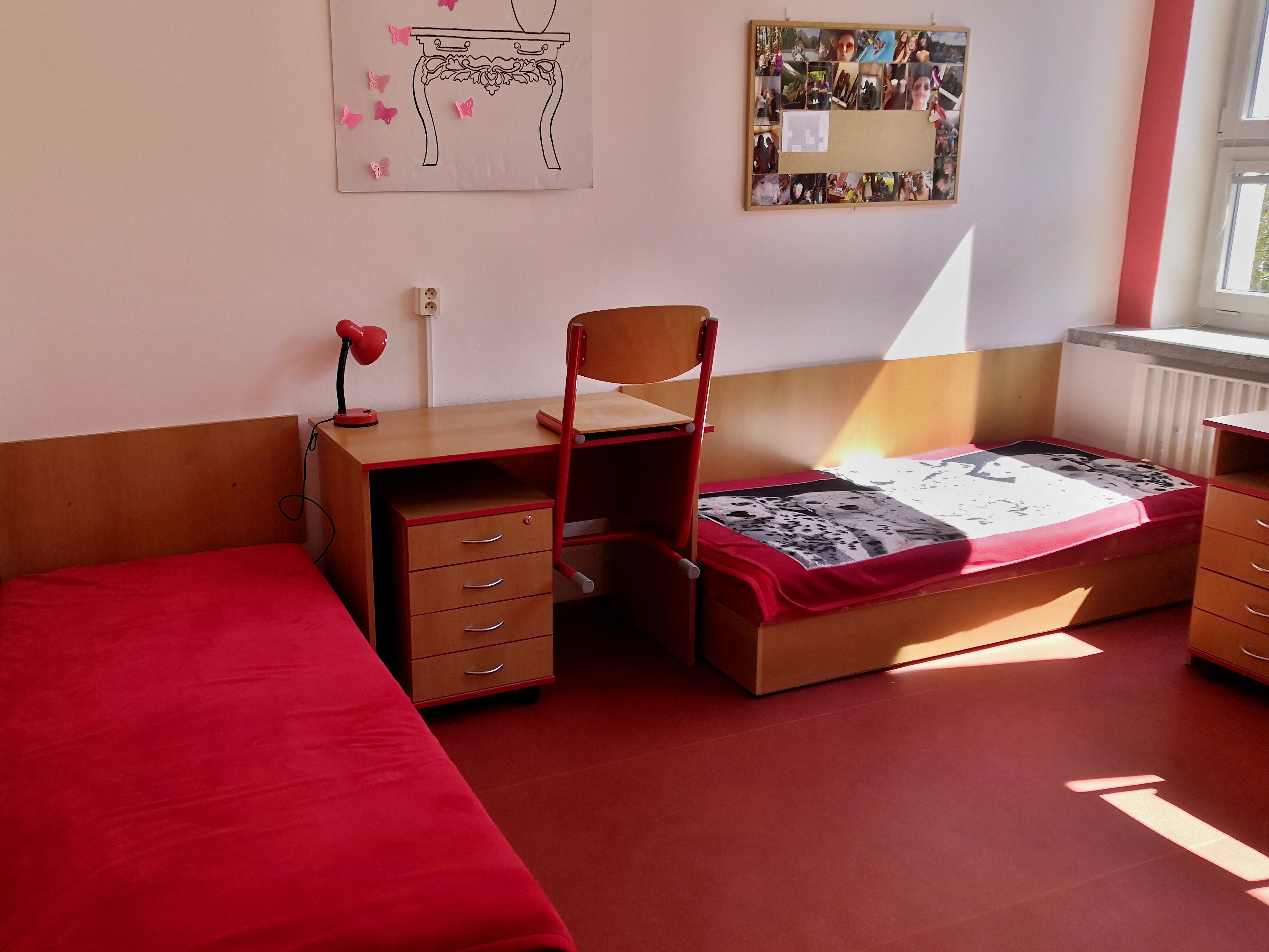 Domov mládeže - Střední škola Odry foto 4