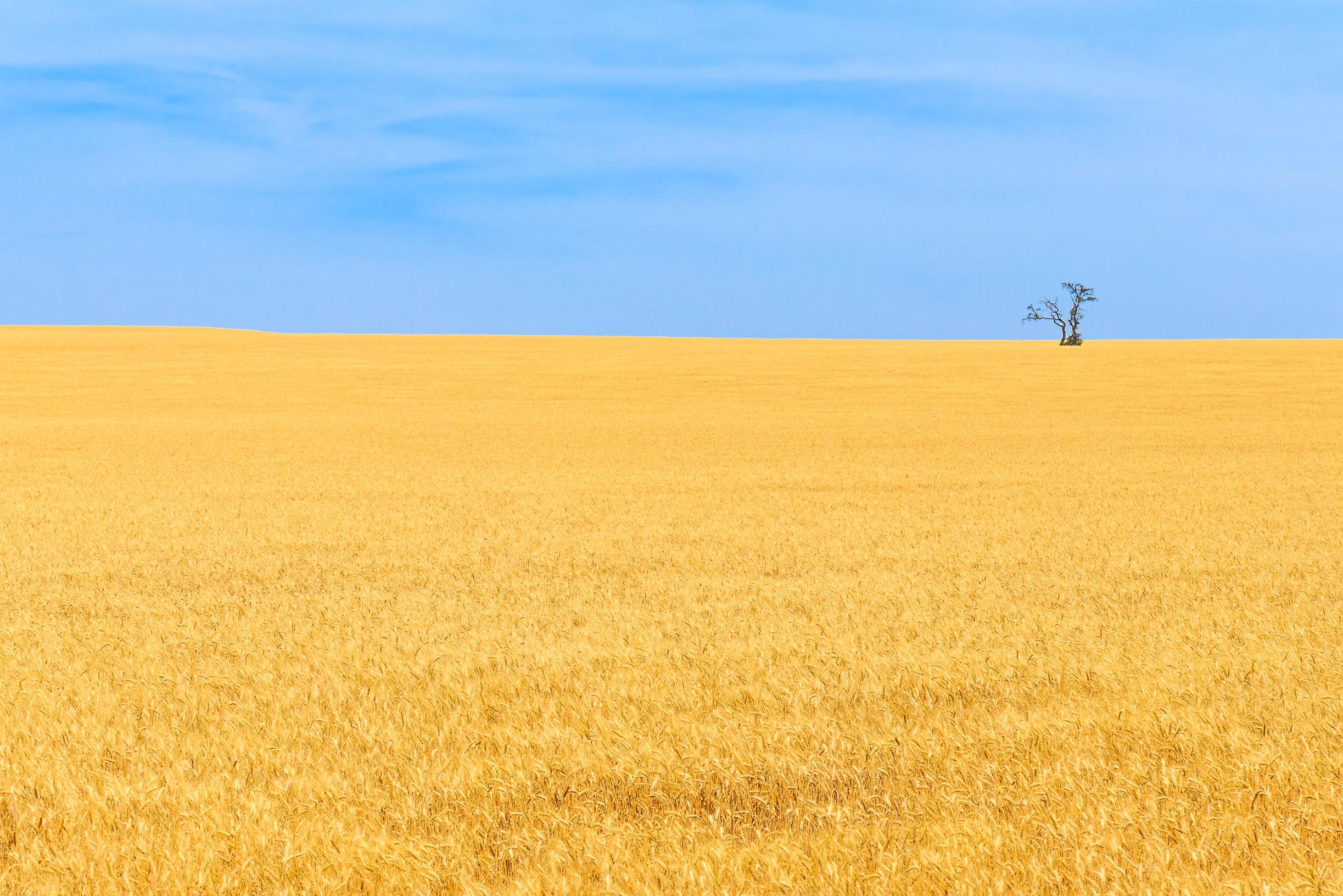 Potřebujete ocenit pozemek nebo zemědělskou půdu?