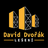 logo David Dvořák