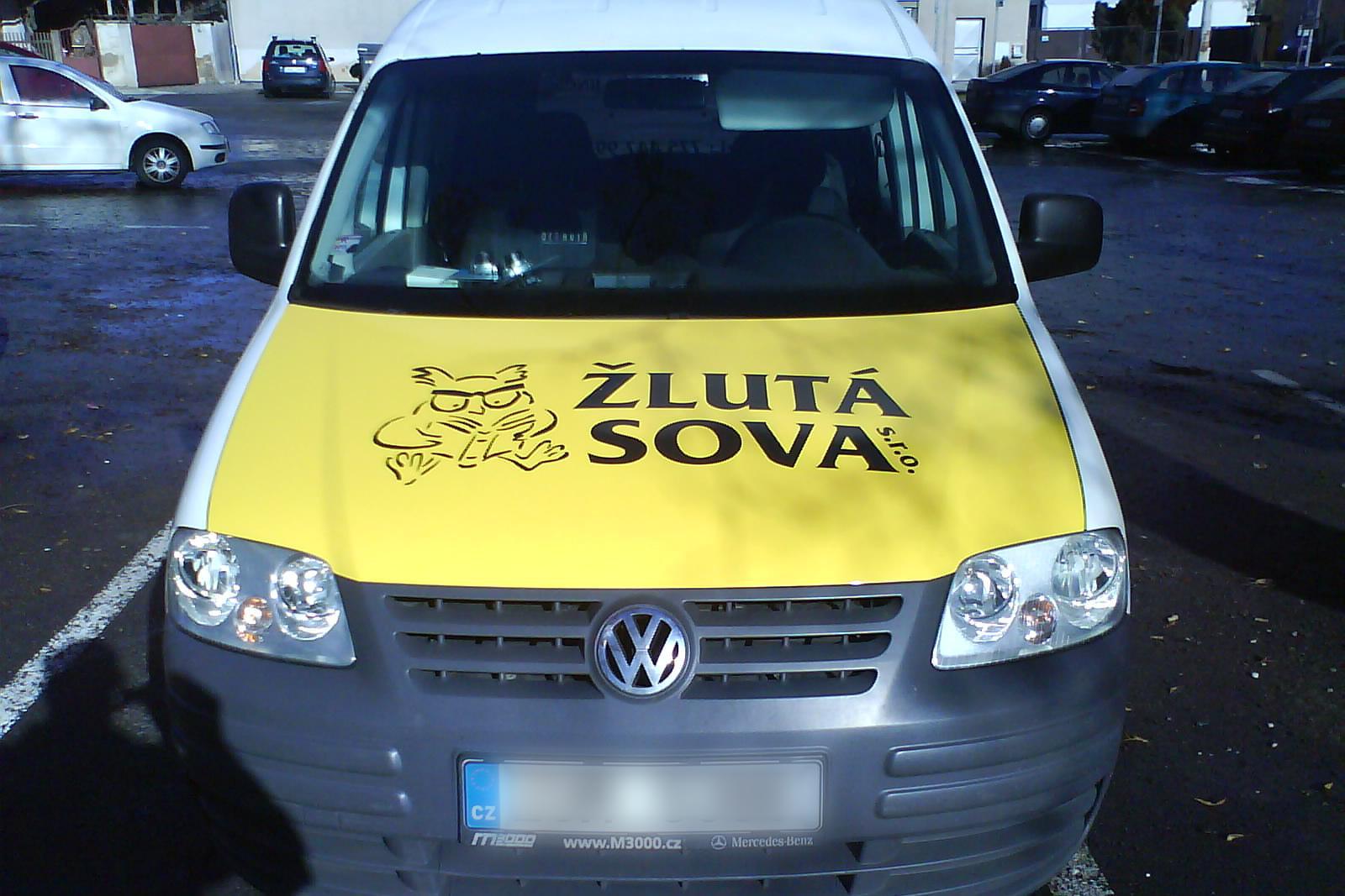 ŽLUTÁ SOVA