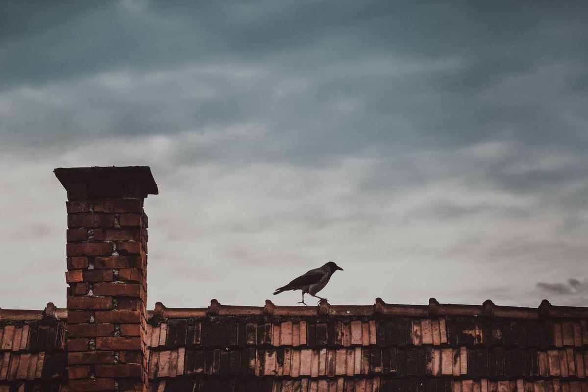 Kominictví Petr Račický