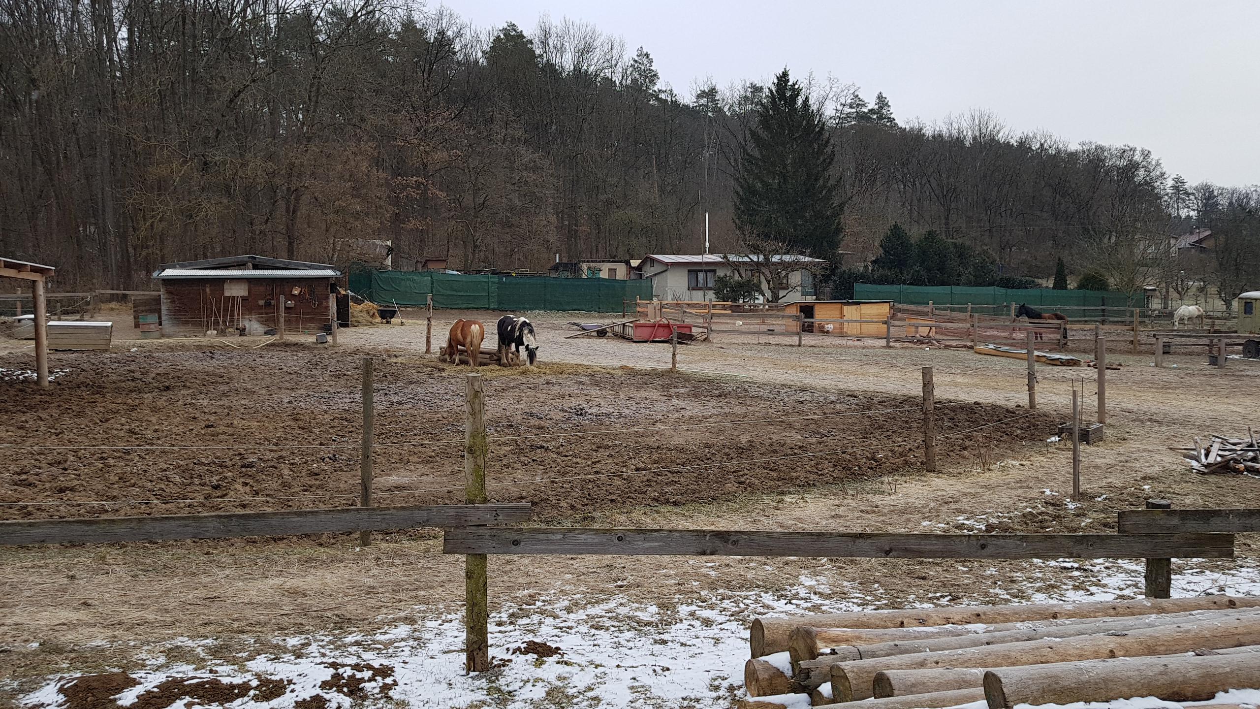 Jezdecká stáj Elvis – Kristýna Paulíková foto 1