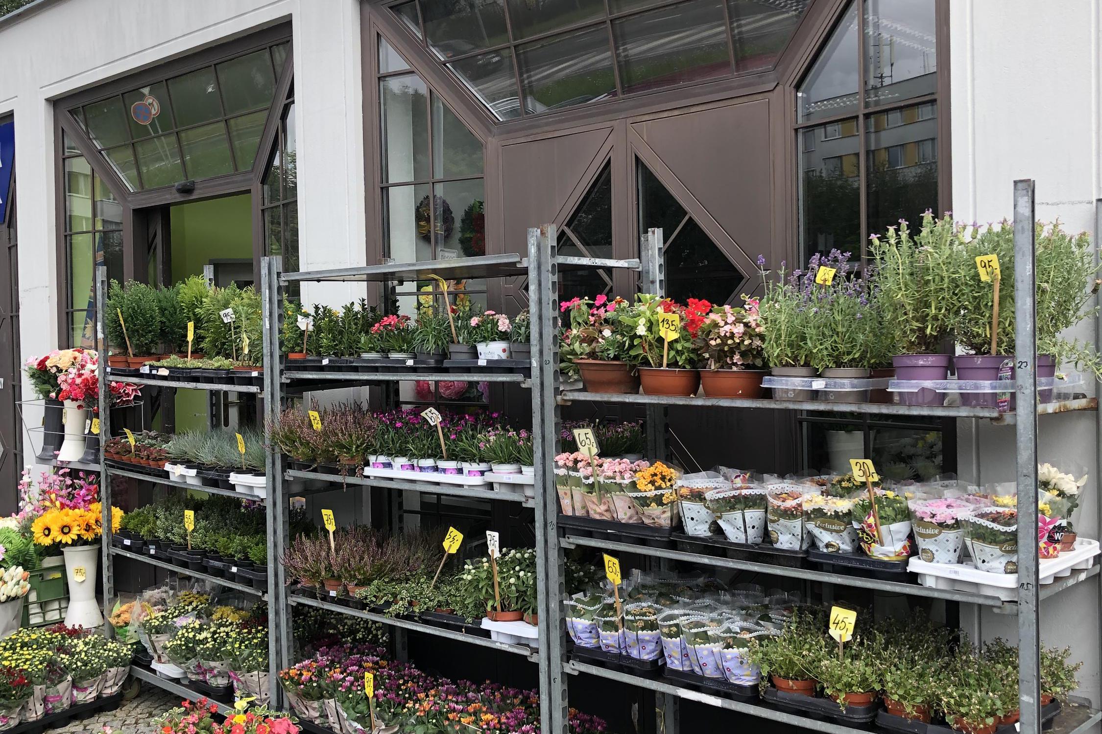 Květiny Lilian flow