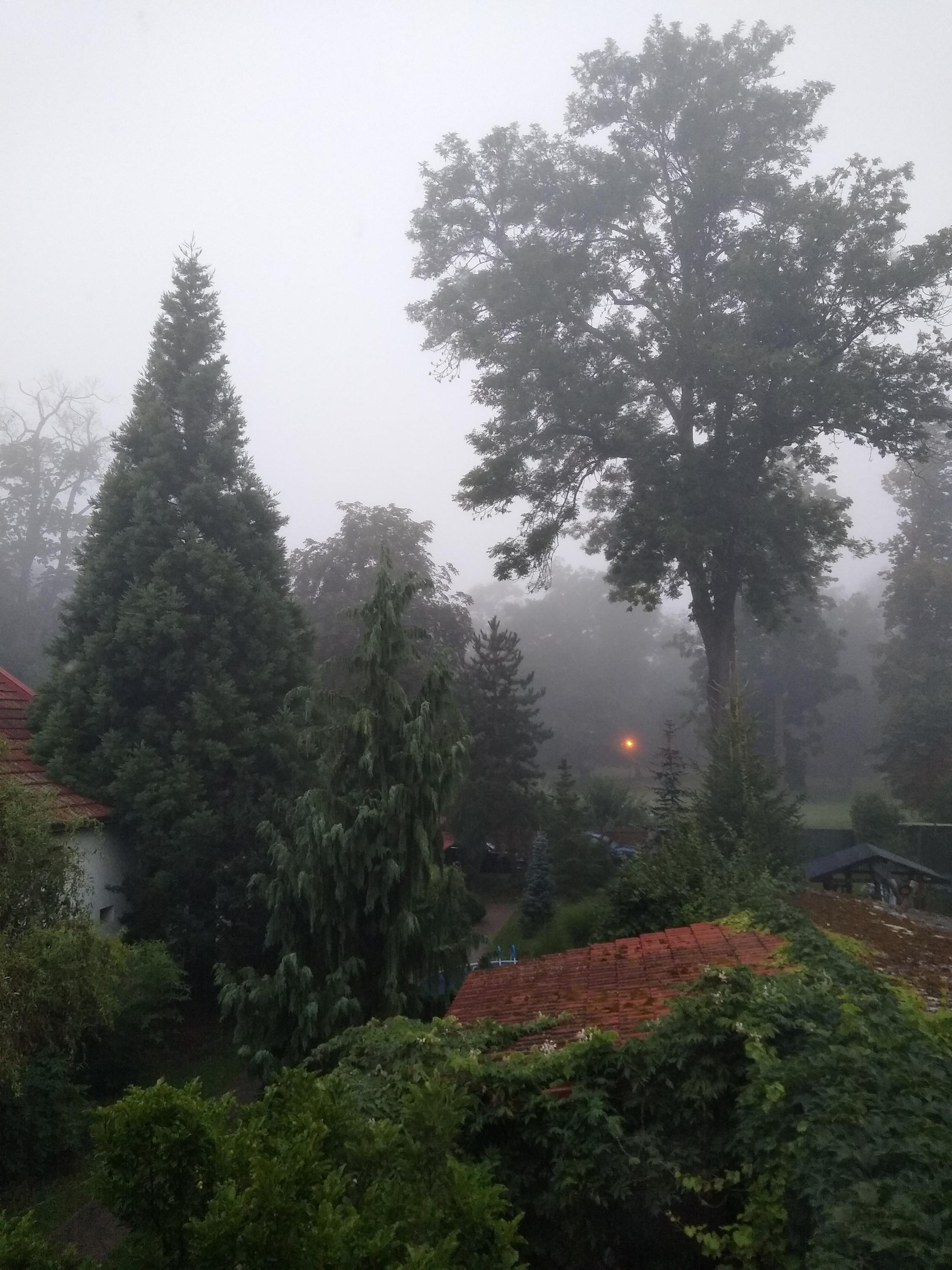 Penzion Zámecký park foto 3