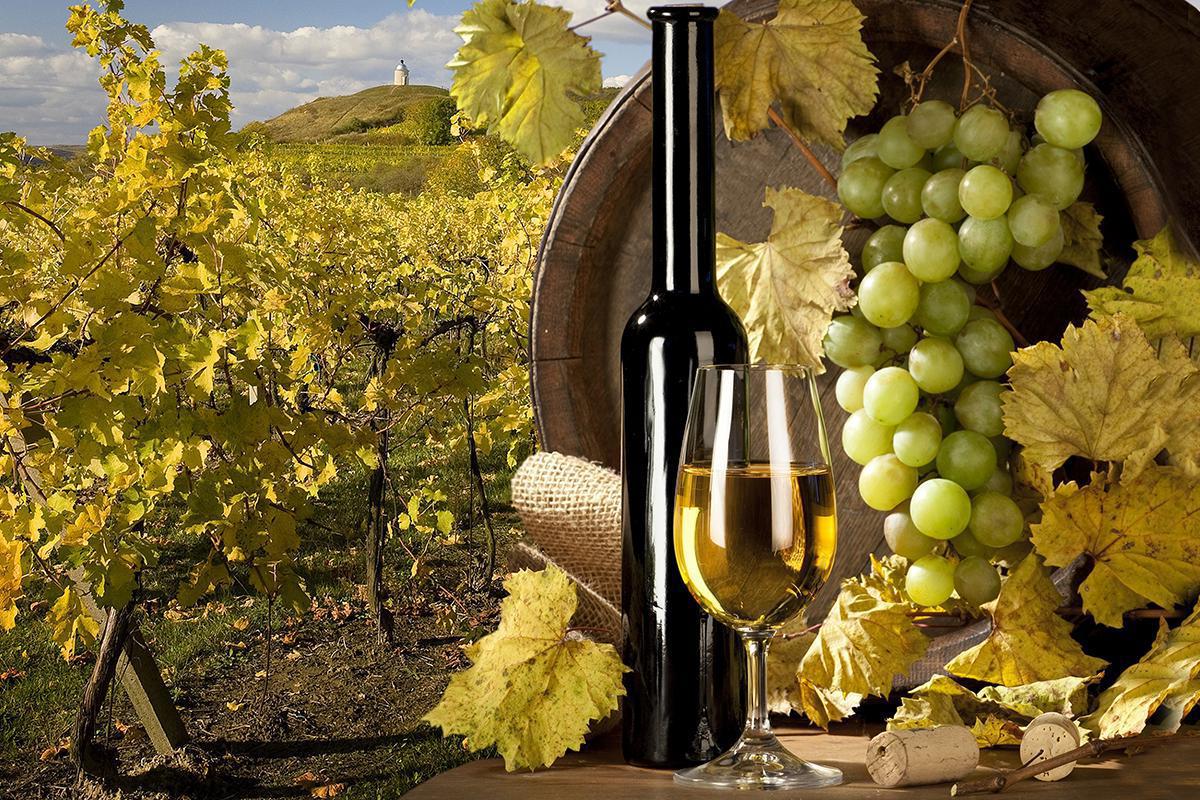 Rodinné vinařství Doris