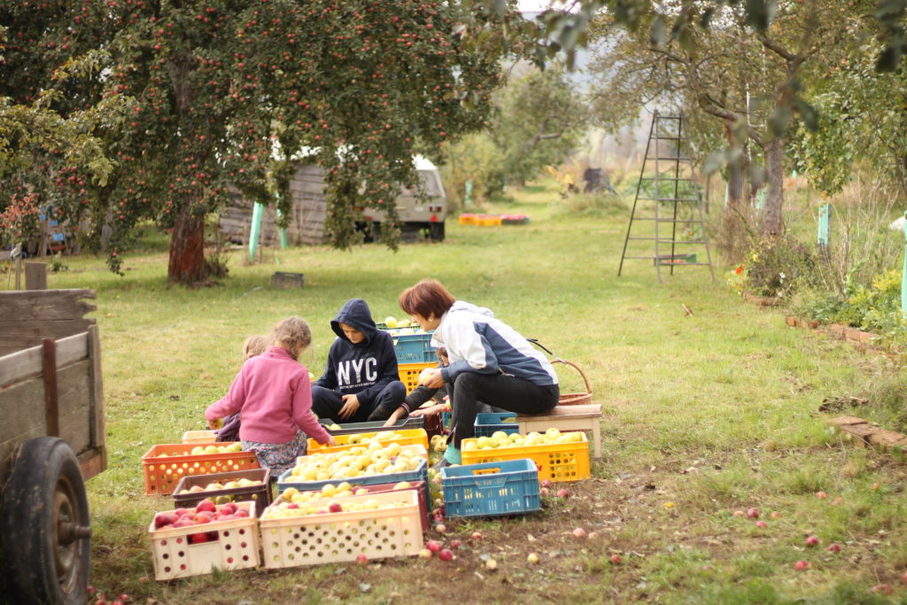Statek u Macháčků | bio zelenina a ovoce, bio mouka foto 2