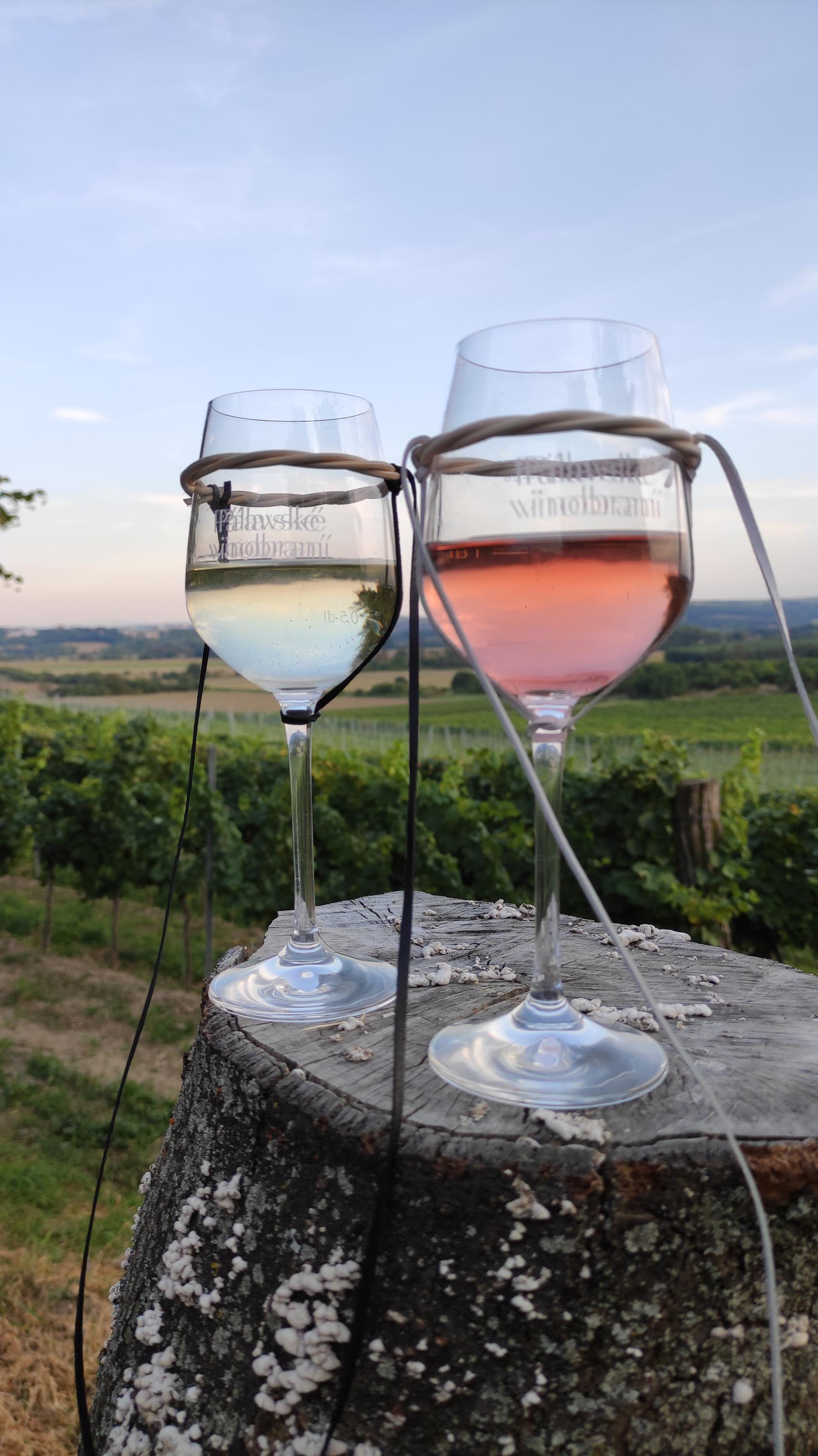 Vinice Coffeebar foto 2