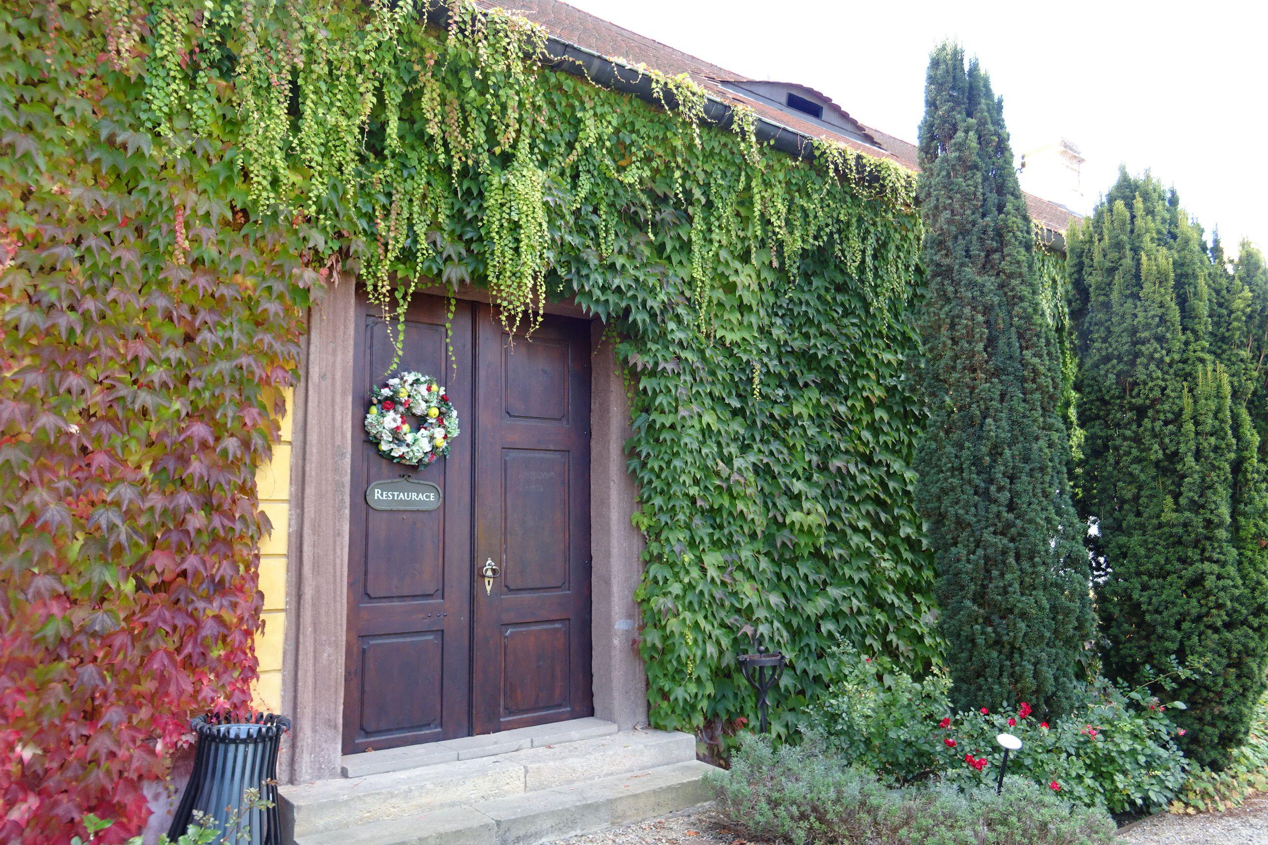 Restaurace Zámek Jemniště foto 3