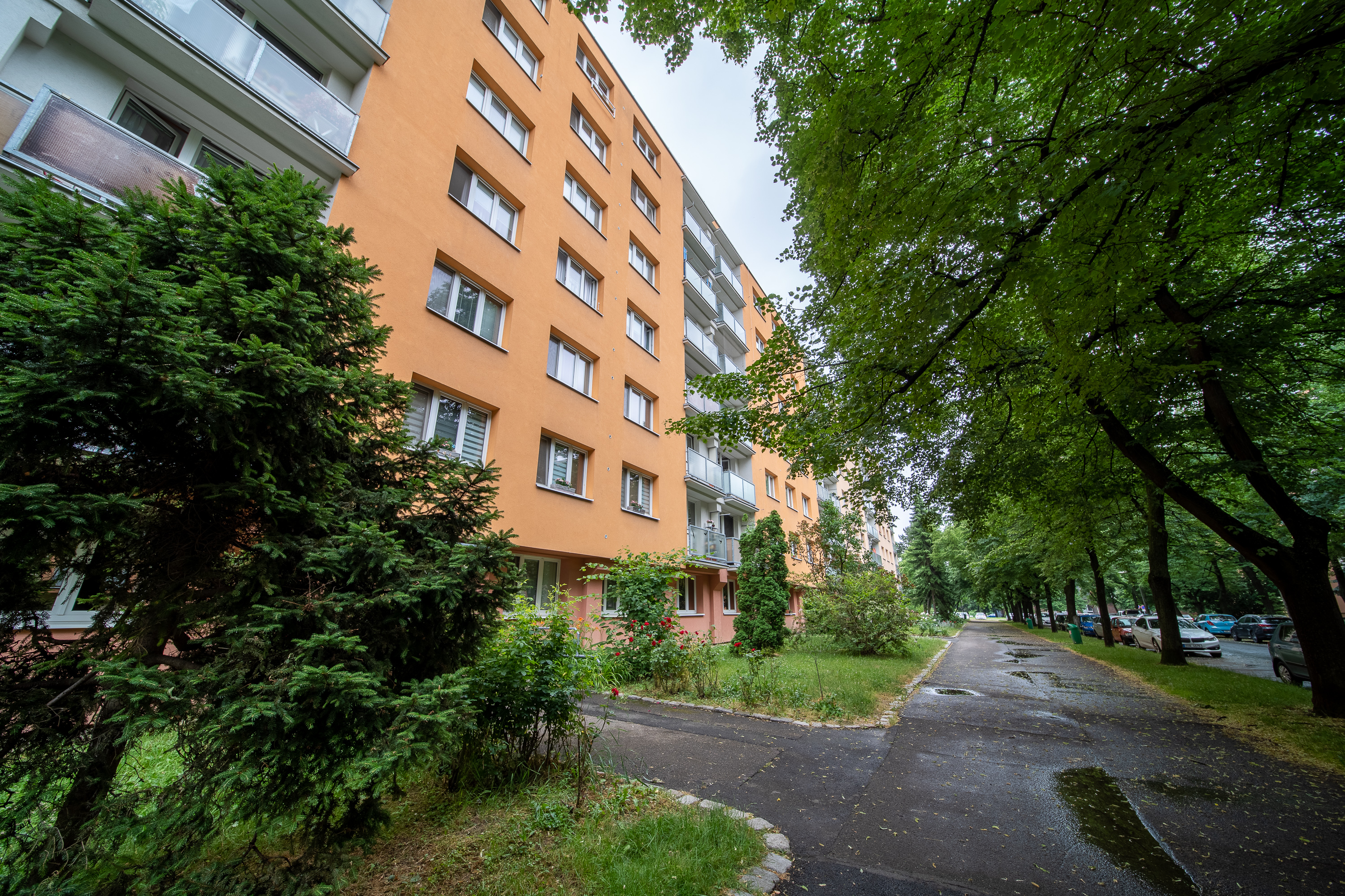 Petr Revenda - realitní makléř foto 4