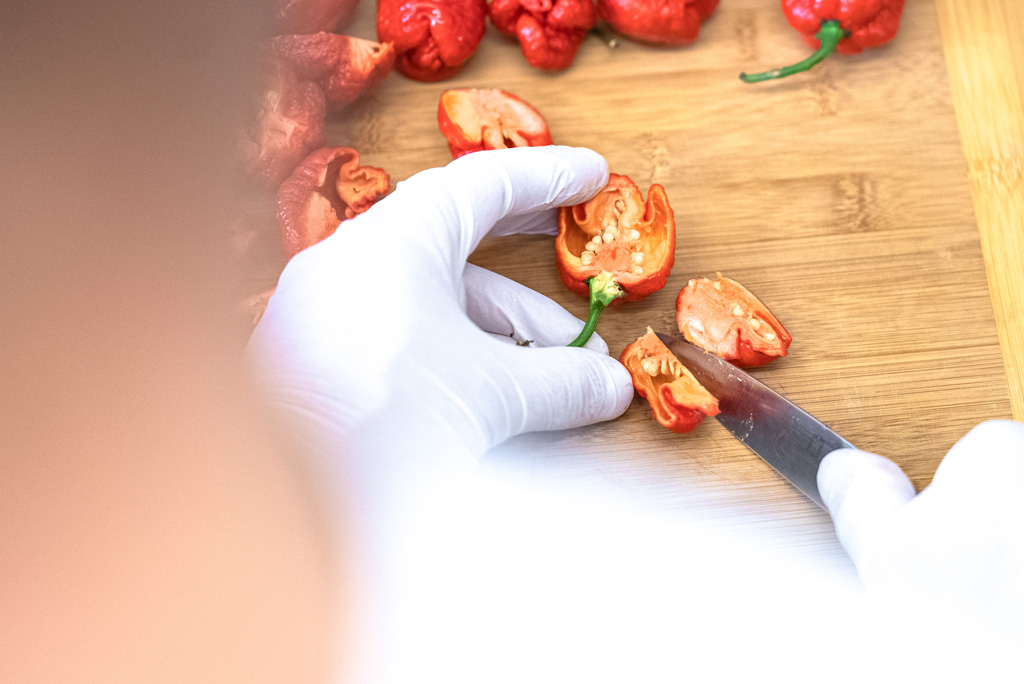 Scorpionka.cz foto 4