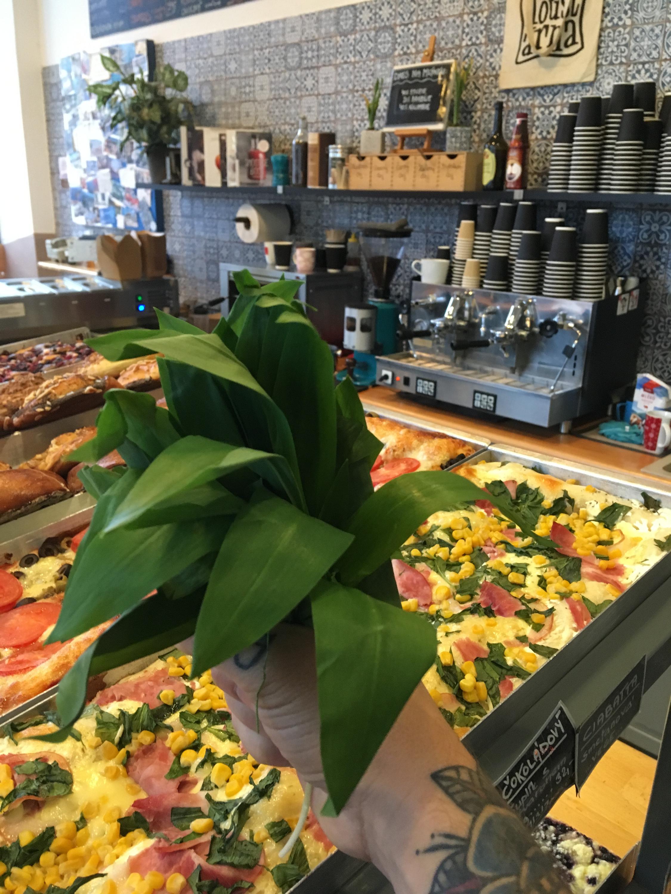 Naše Toustárna foto 5