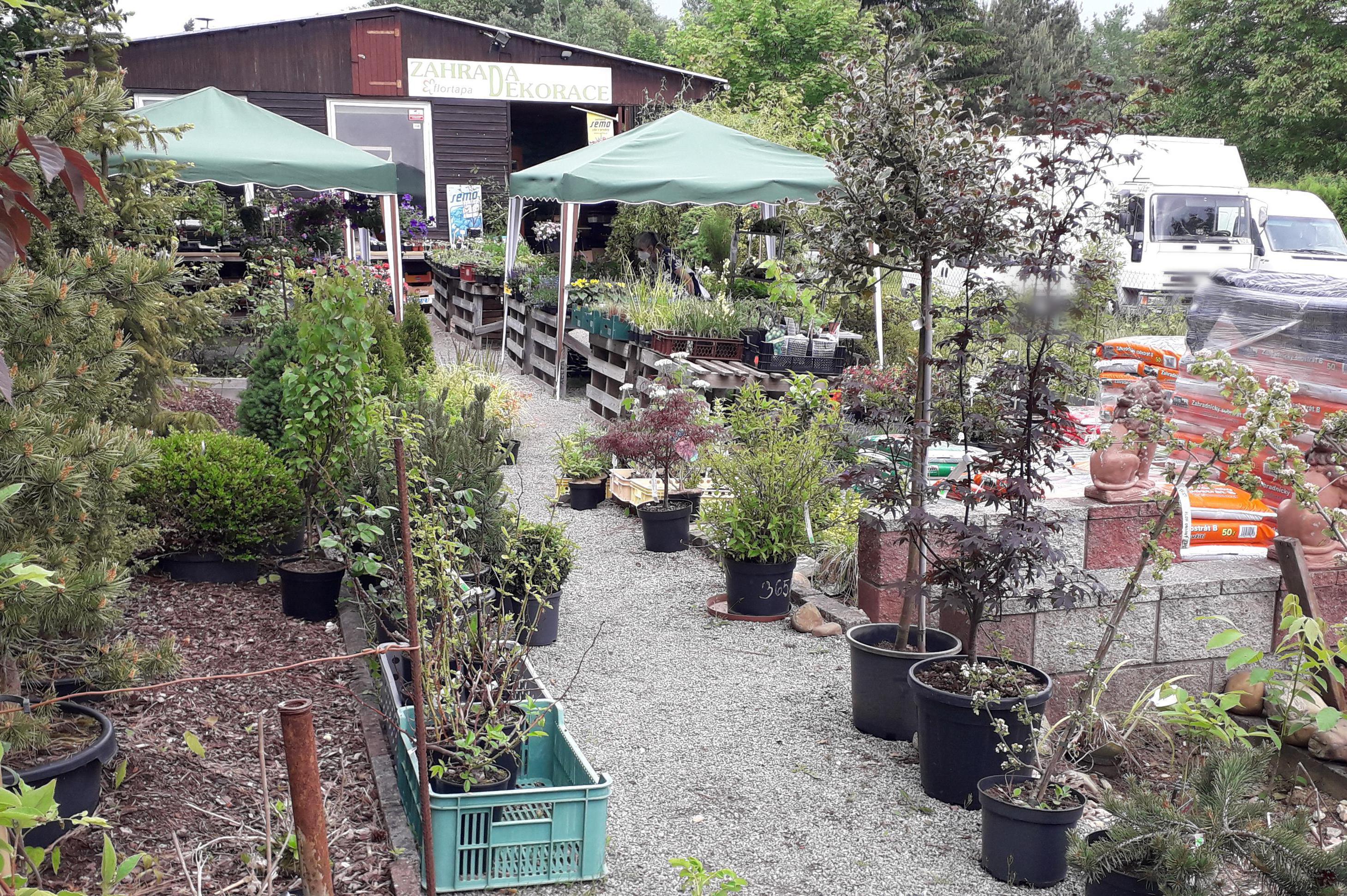 Tamara Provazníková - Zahrada a Dekorace