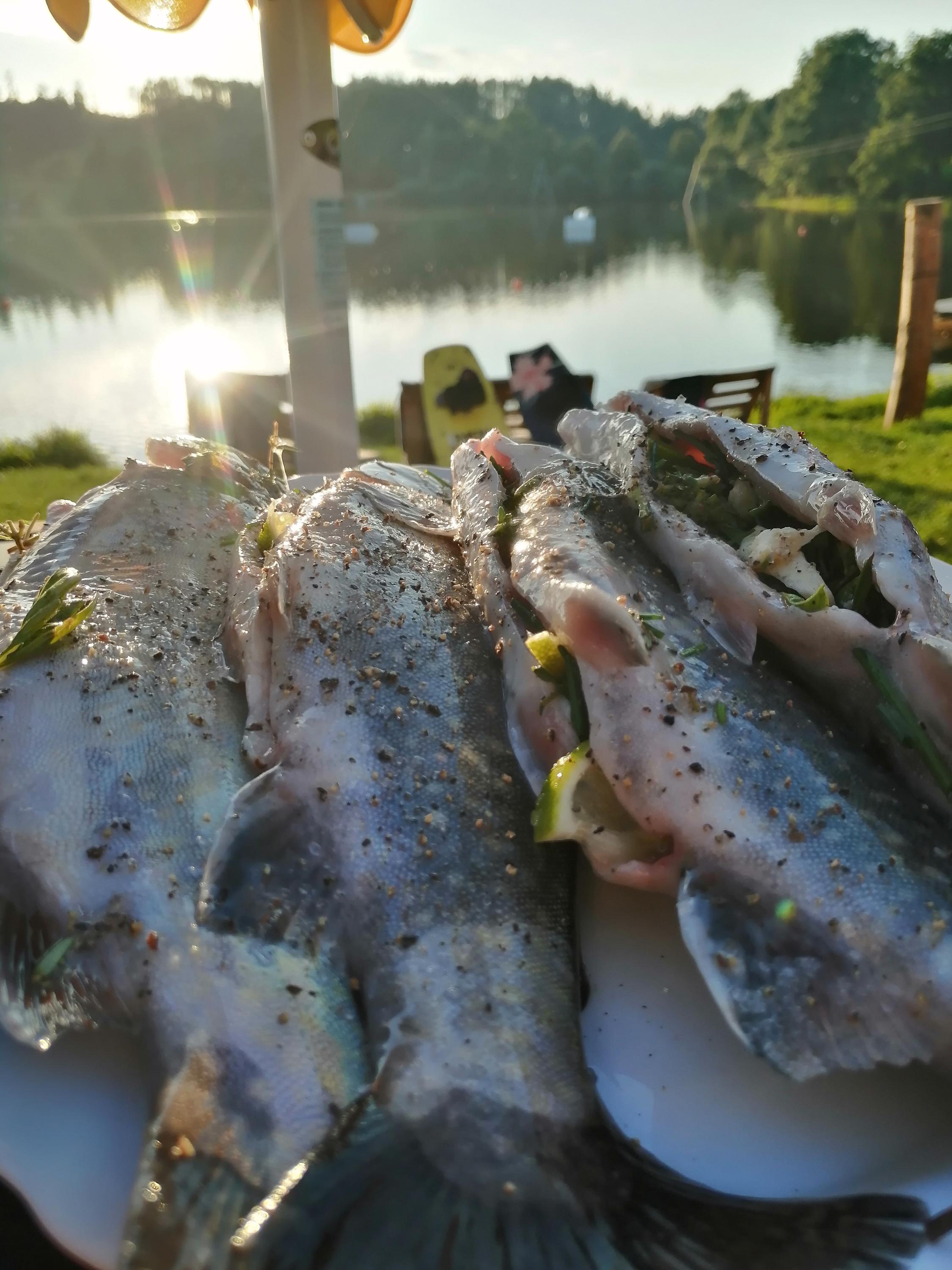 Občerstvení Wakepark Hnačov foto 4