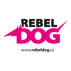 Outward Hound Zpomalovací miska FUN FEEDER DROP tyrkysová Medium 20cm v obchodě Rebeldog.cz