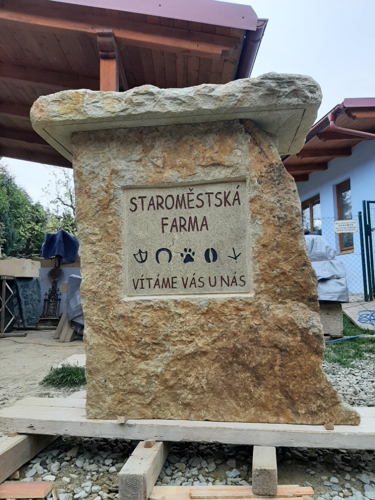 Petr Blaha foto 3