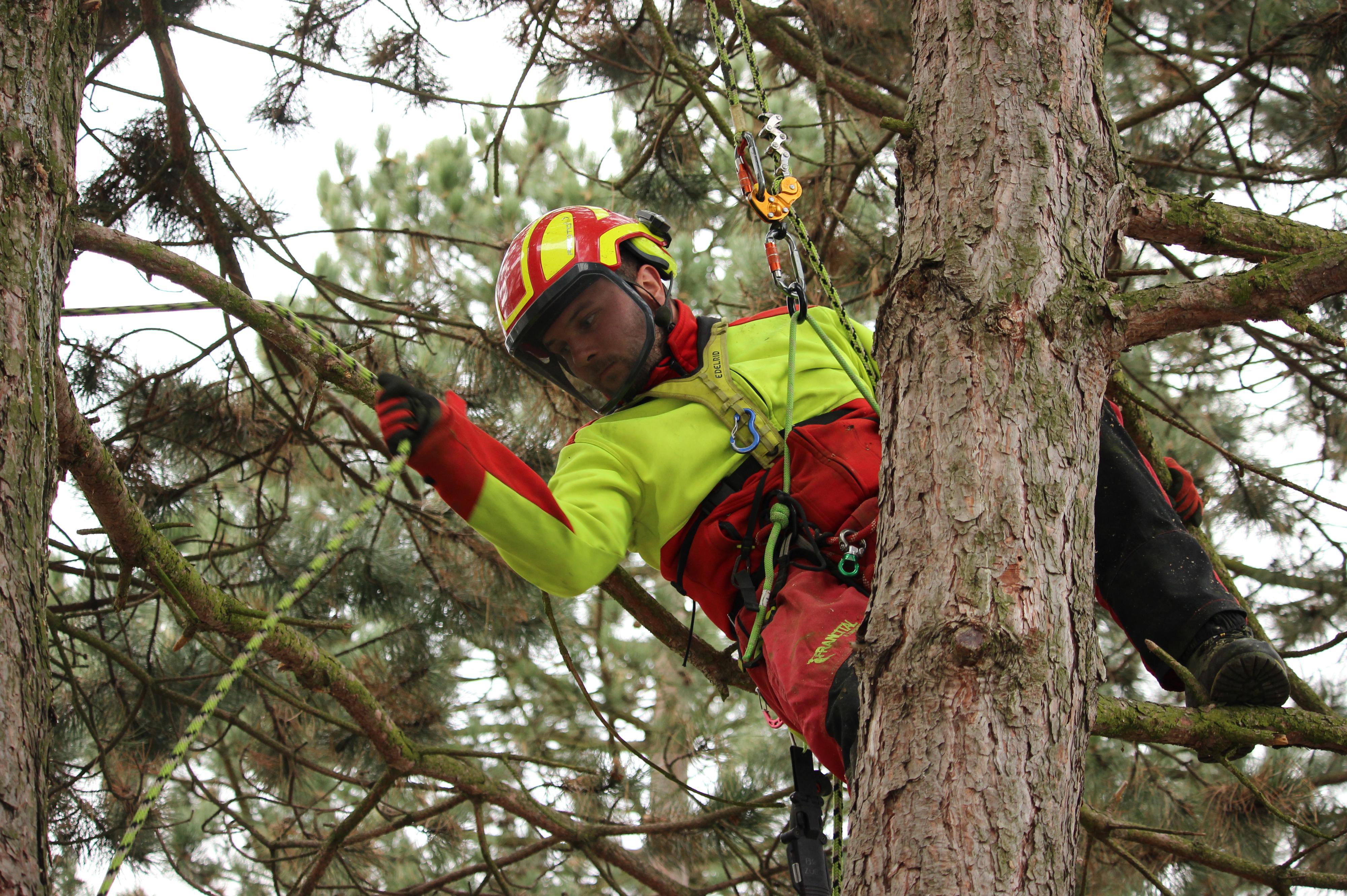 Ing. Lukáš Jankových - Komplexní péče o zeleň