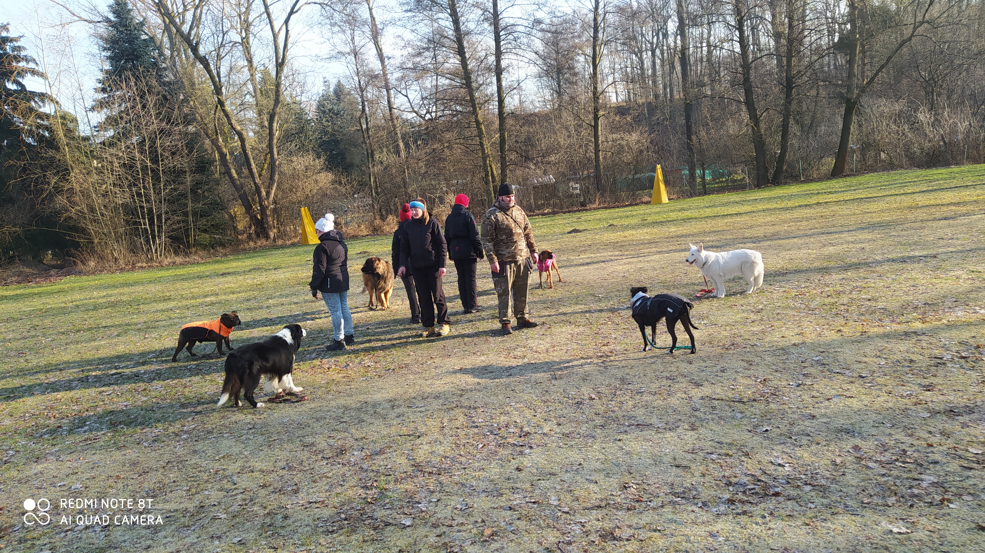 Psí škola Dopey foto 2