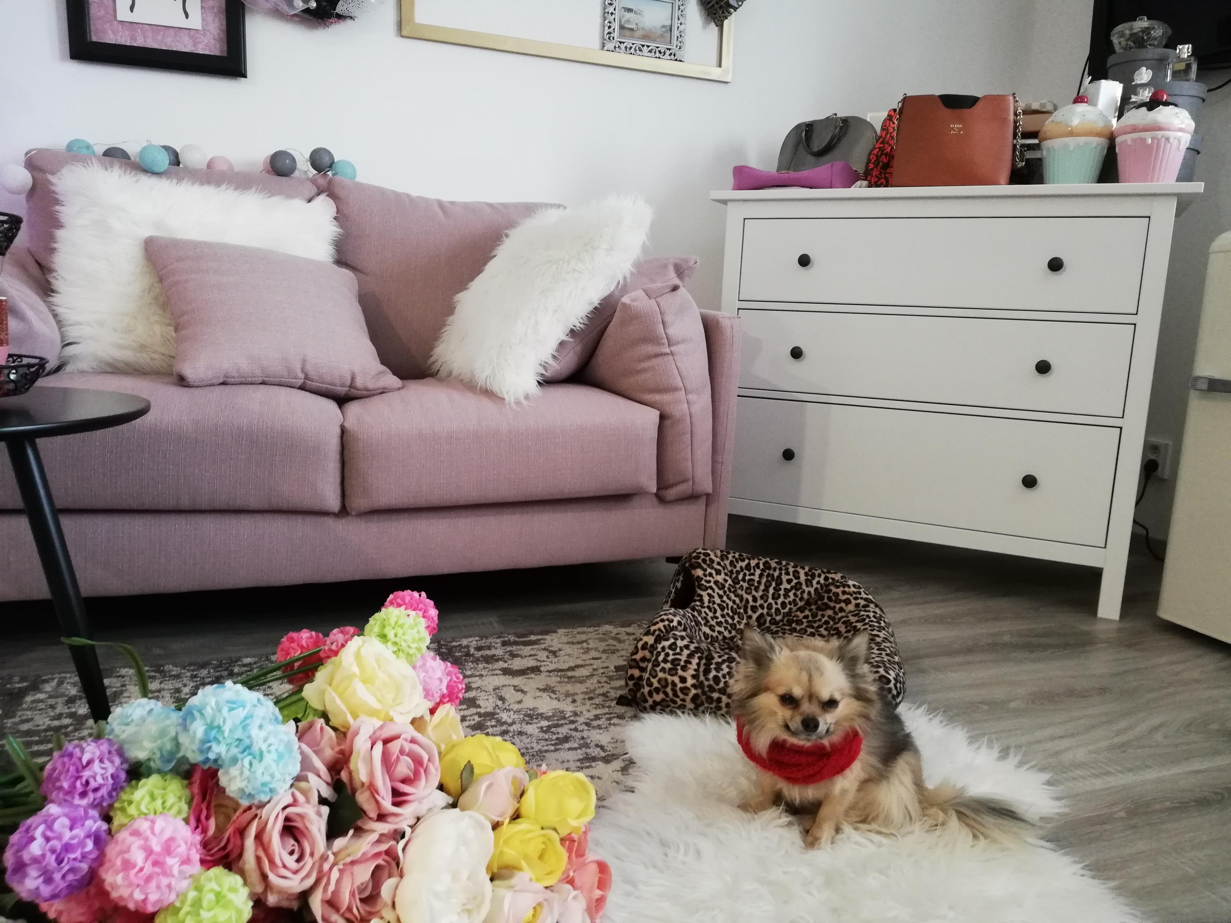 GLAM apartmán Hustopeče foto 2