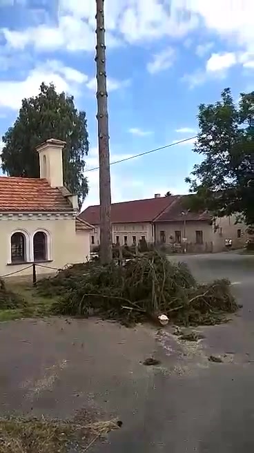 Na stromy i domy foto 2 (náhled videa)