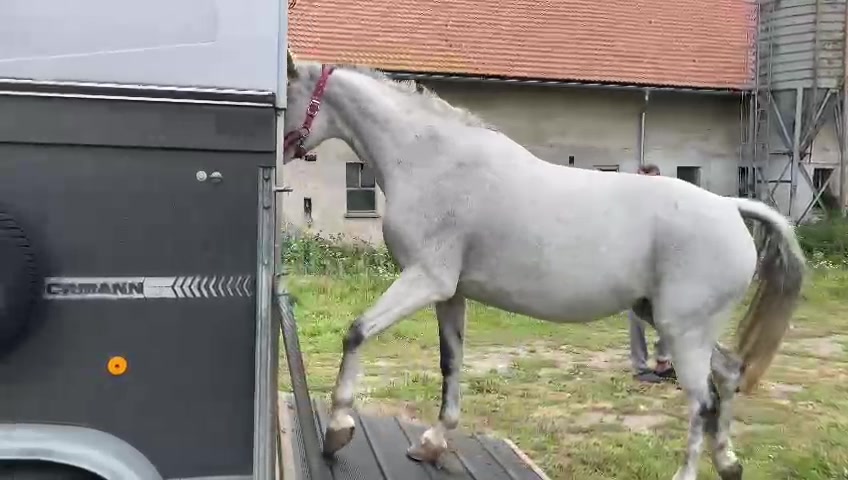 Půjčovna přívěsných vozíků Lubomír Beňa foto 2 (náhled videa)