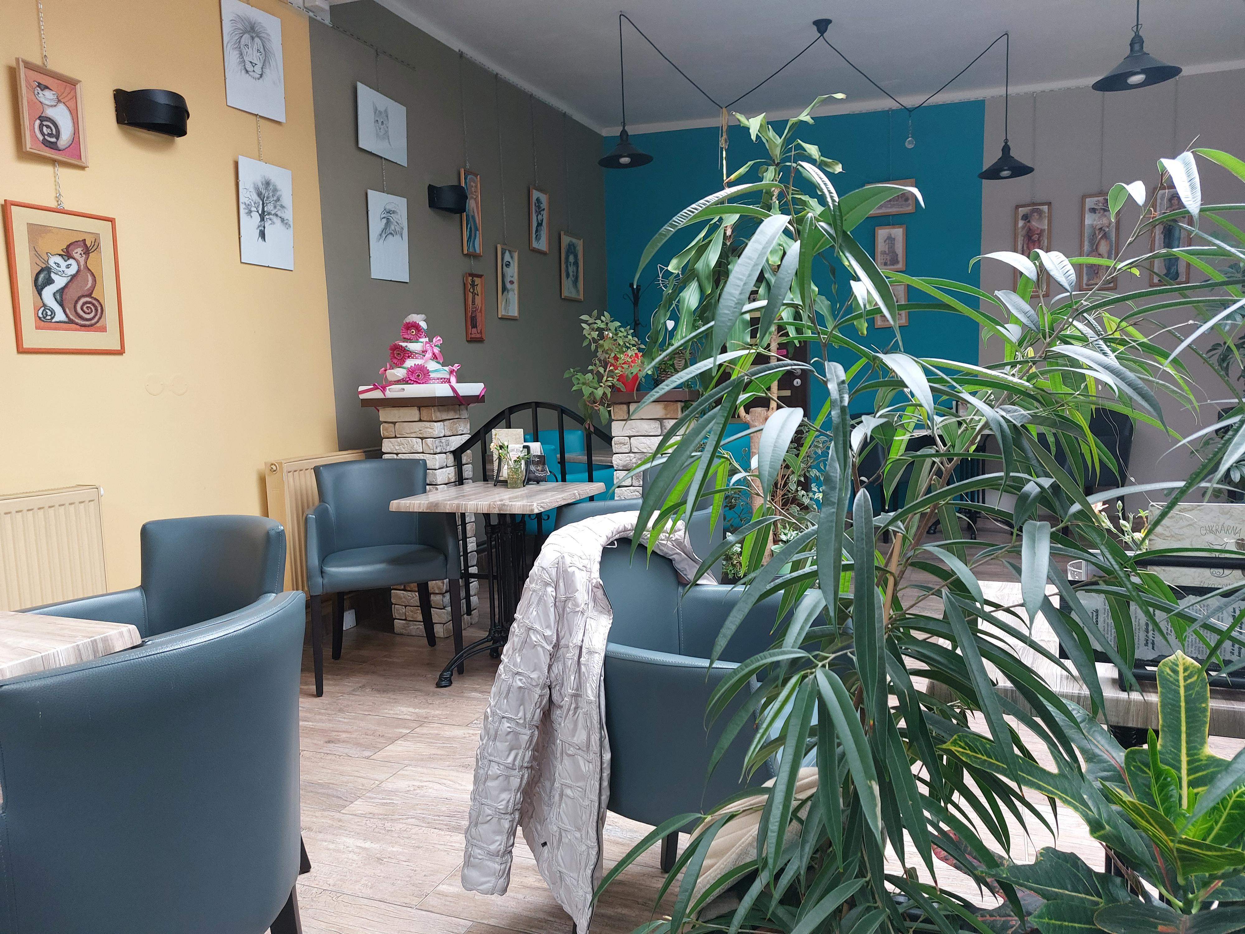 Cukrárna U Kocoura foto 5