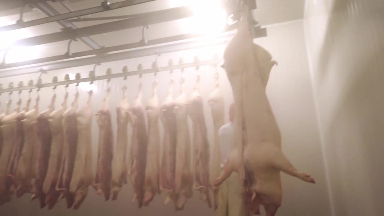 ŘEZNICTVÍ SLOUPNICE s.r.o. foto 2 (náhled videa)