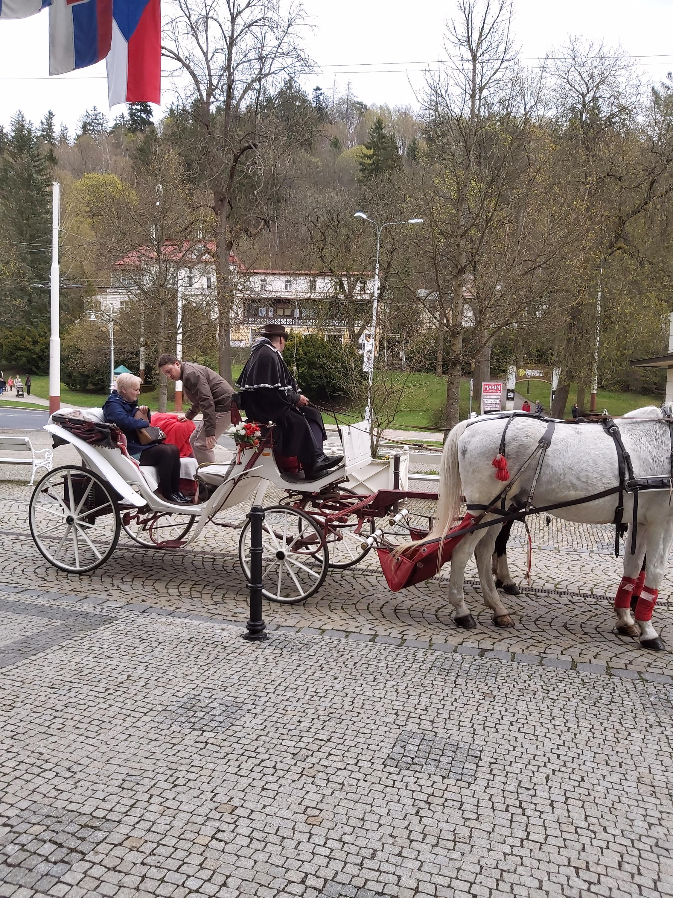 Orea Spa Hotel Cristal foto 5